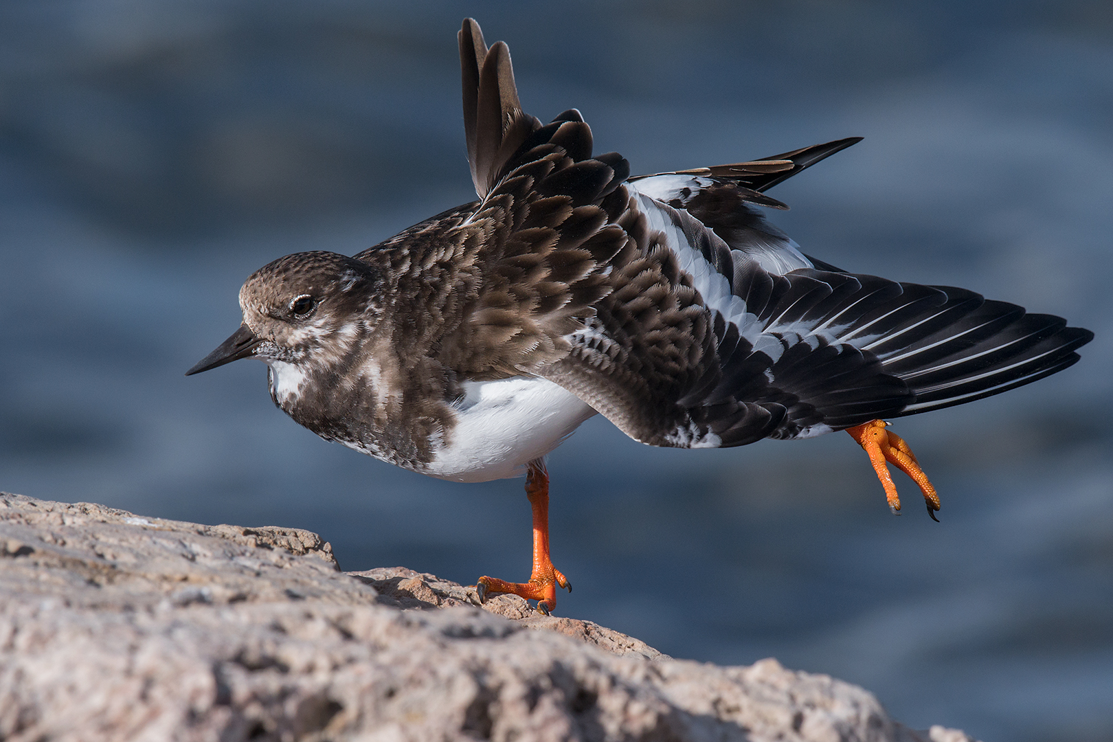 Voltapietre - la sgranchitina