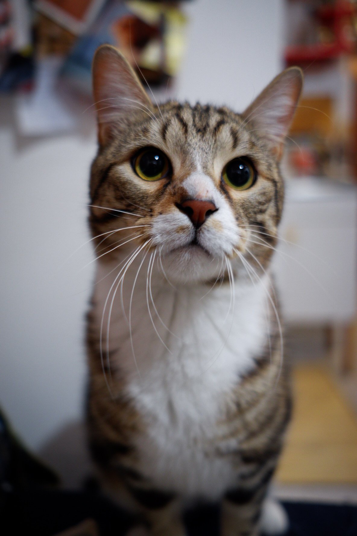 Michi