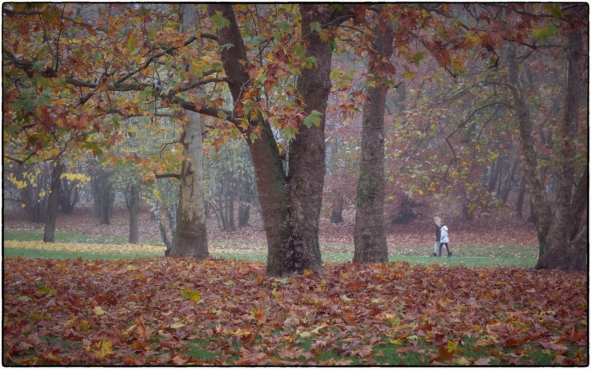 Milan Trii (Basiglio)