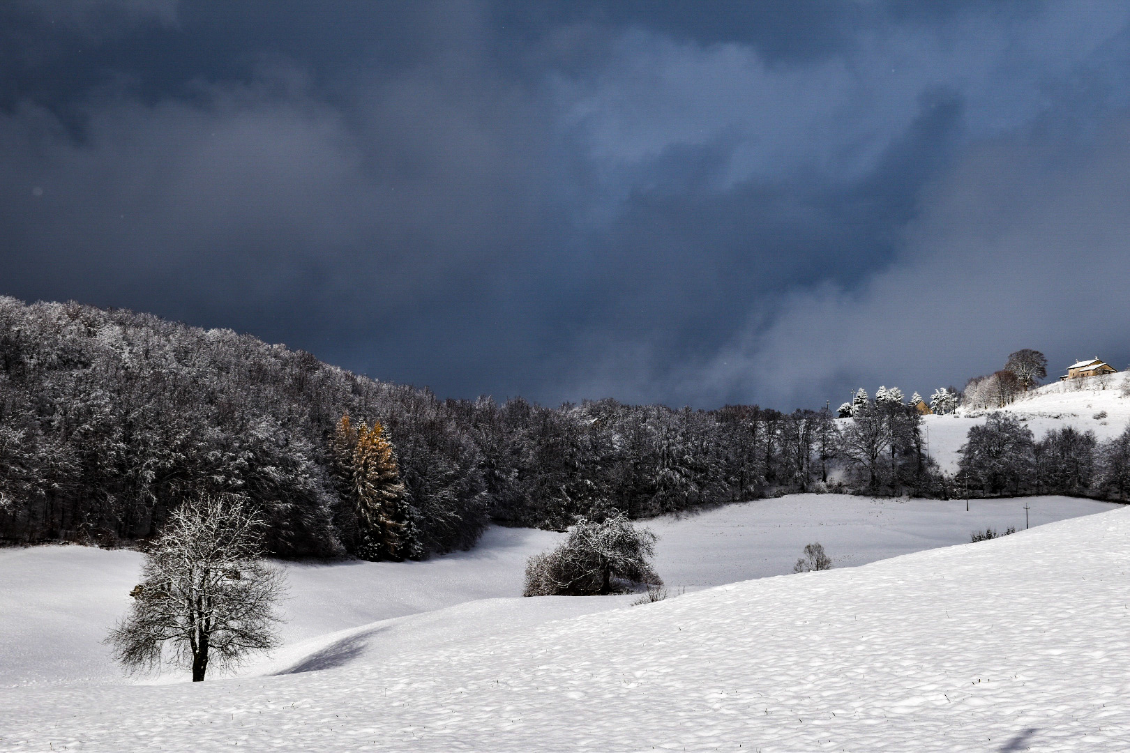 Storm, snow, sun... Crazy weather or crazy us