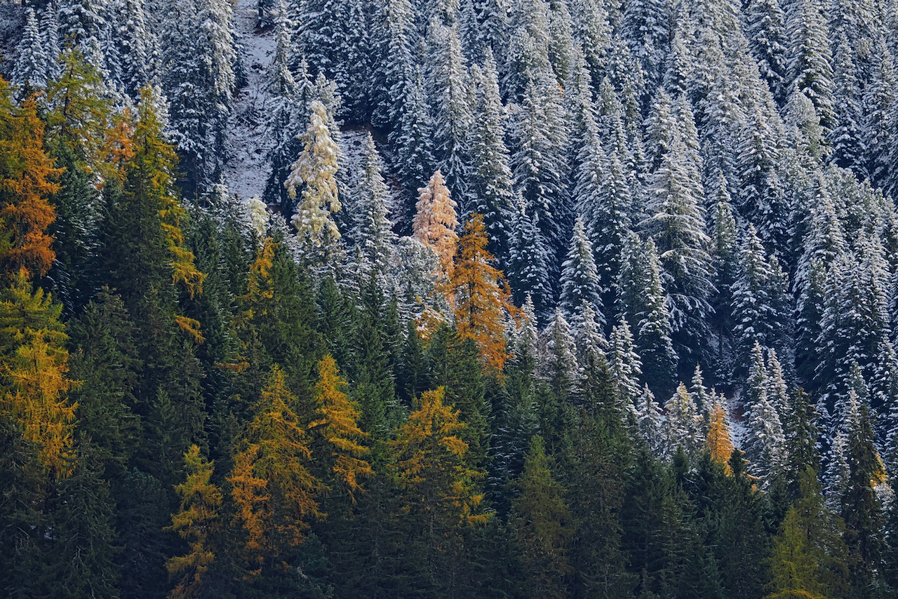 Two seasons in one