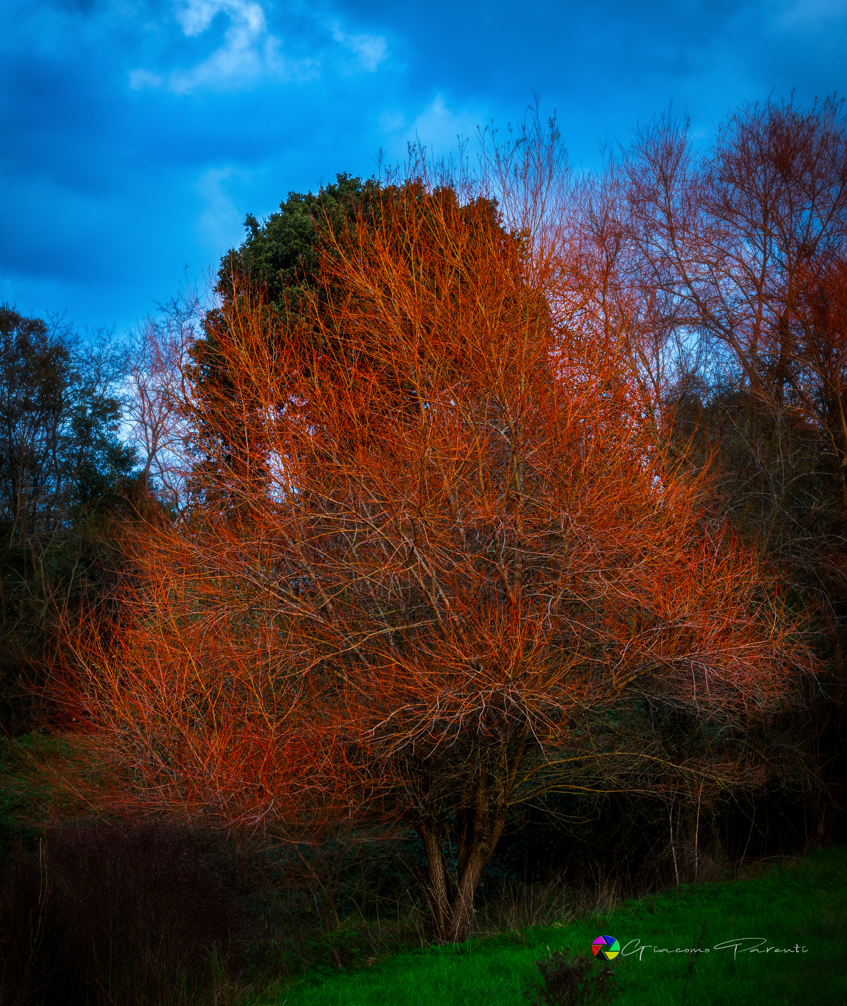 Colori d'autunno