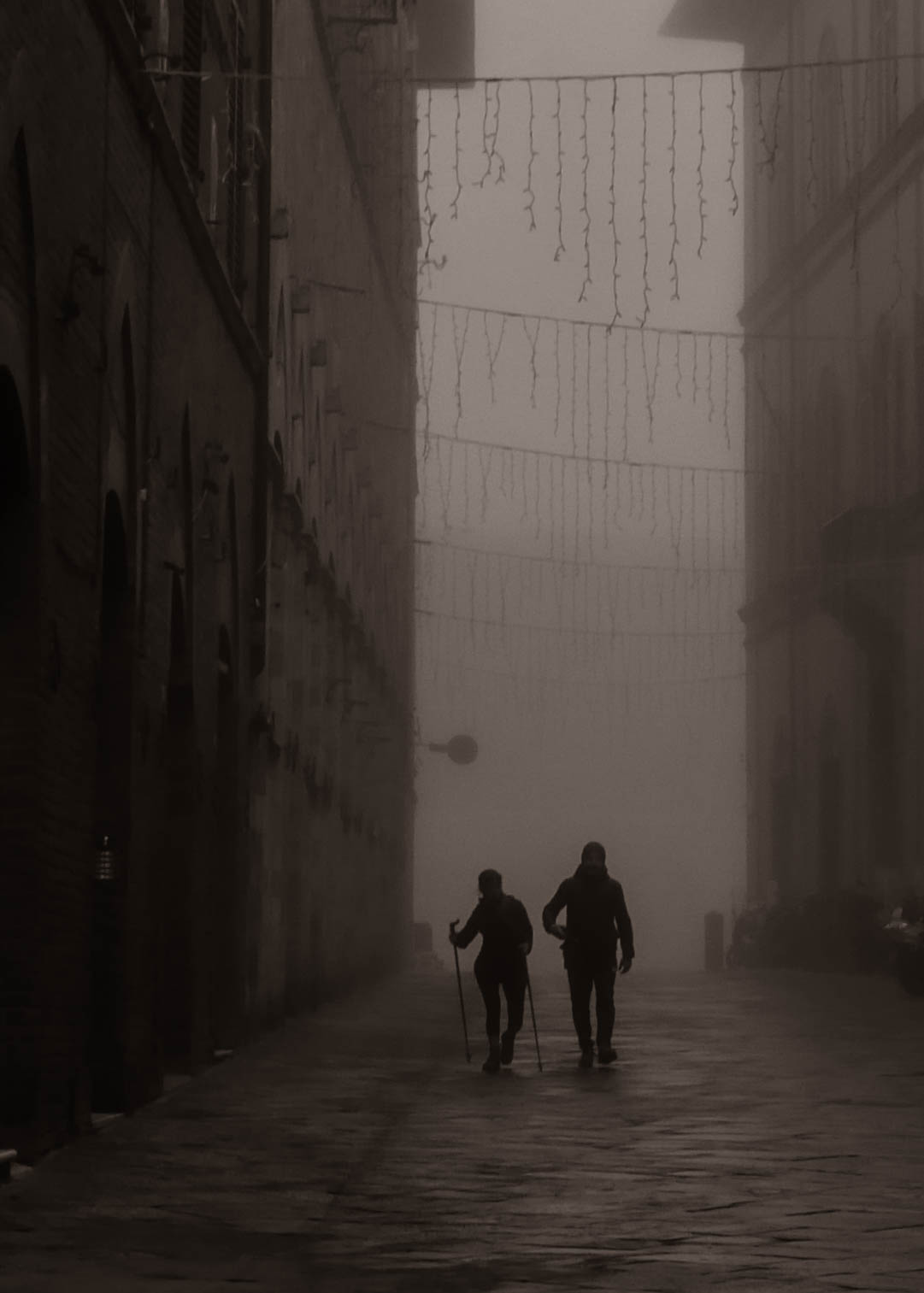Nebbia