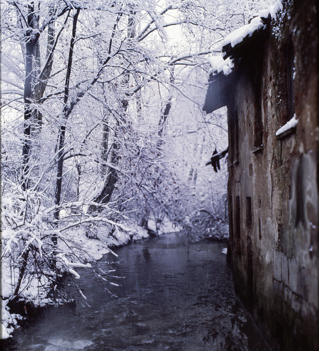 Olona River Park Legnano Castle - Winter