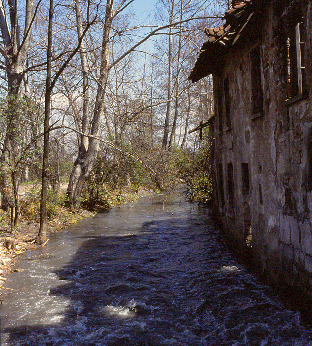 Olona River Park Castle Legnano Spring