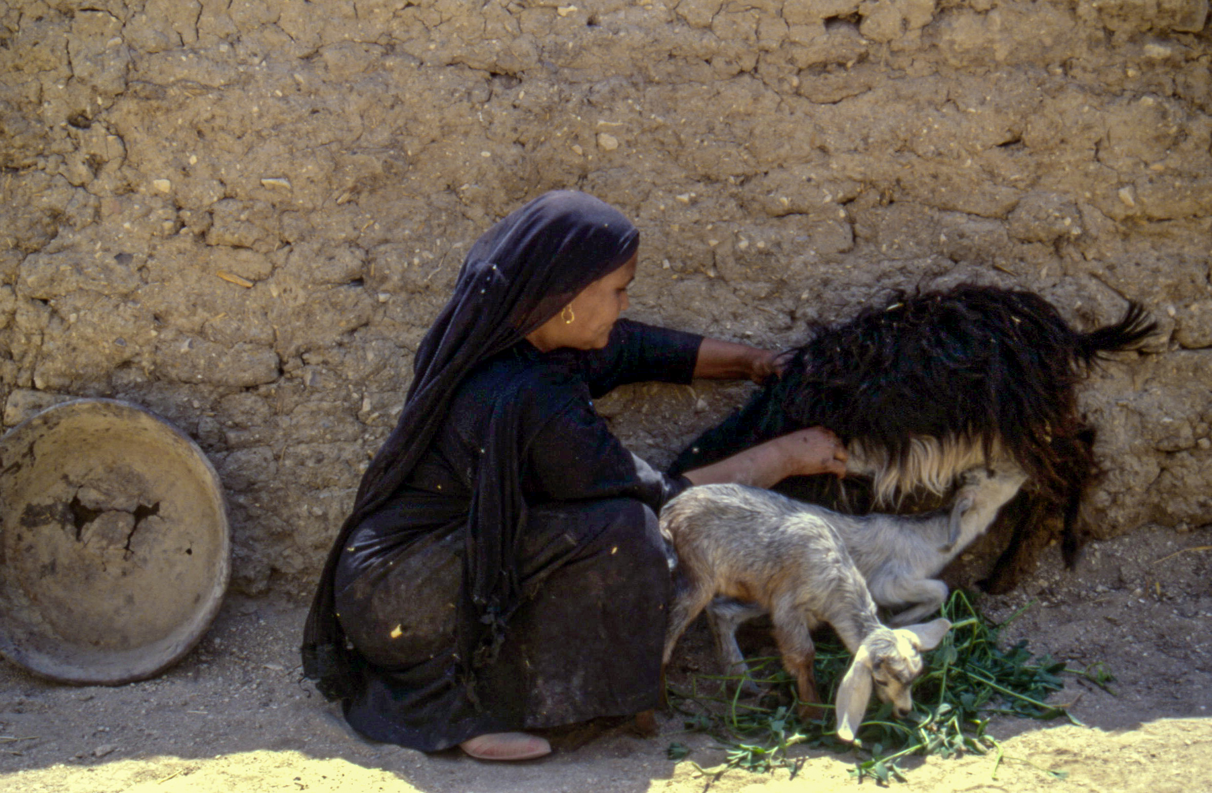 Periferia del Cairo 1996