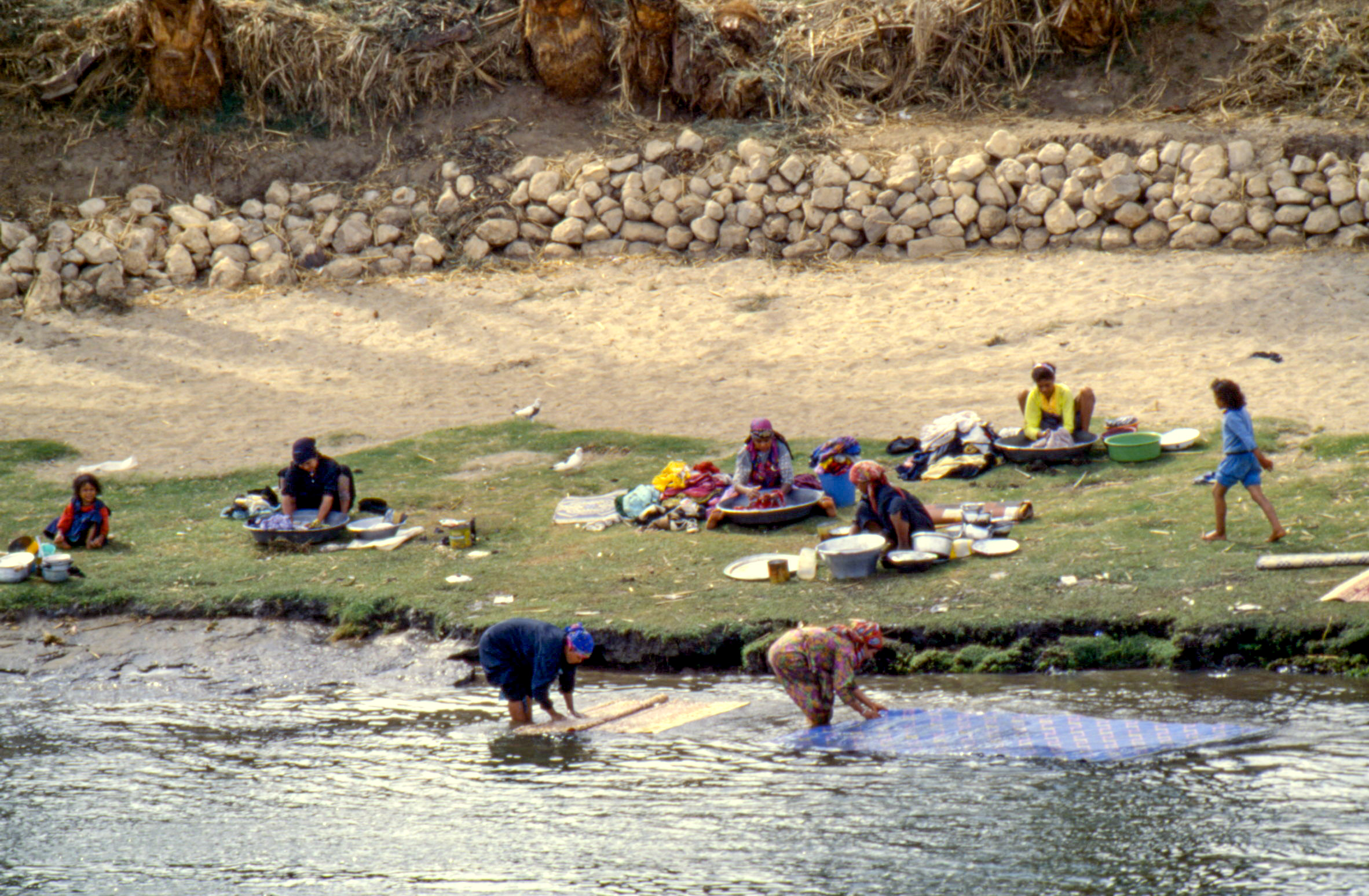 Lavandaie sul Nilo 1996