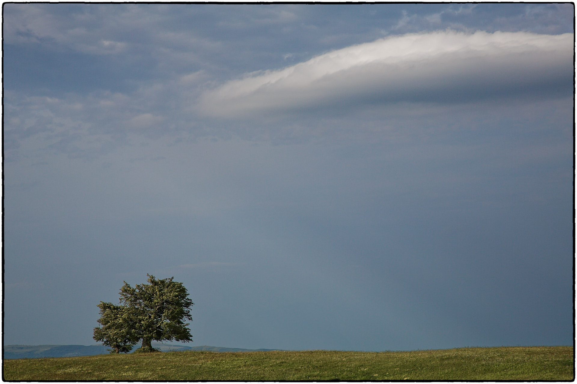 On Monte Petano (PU), 2012