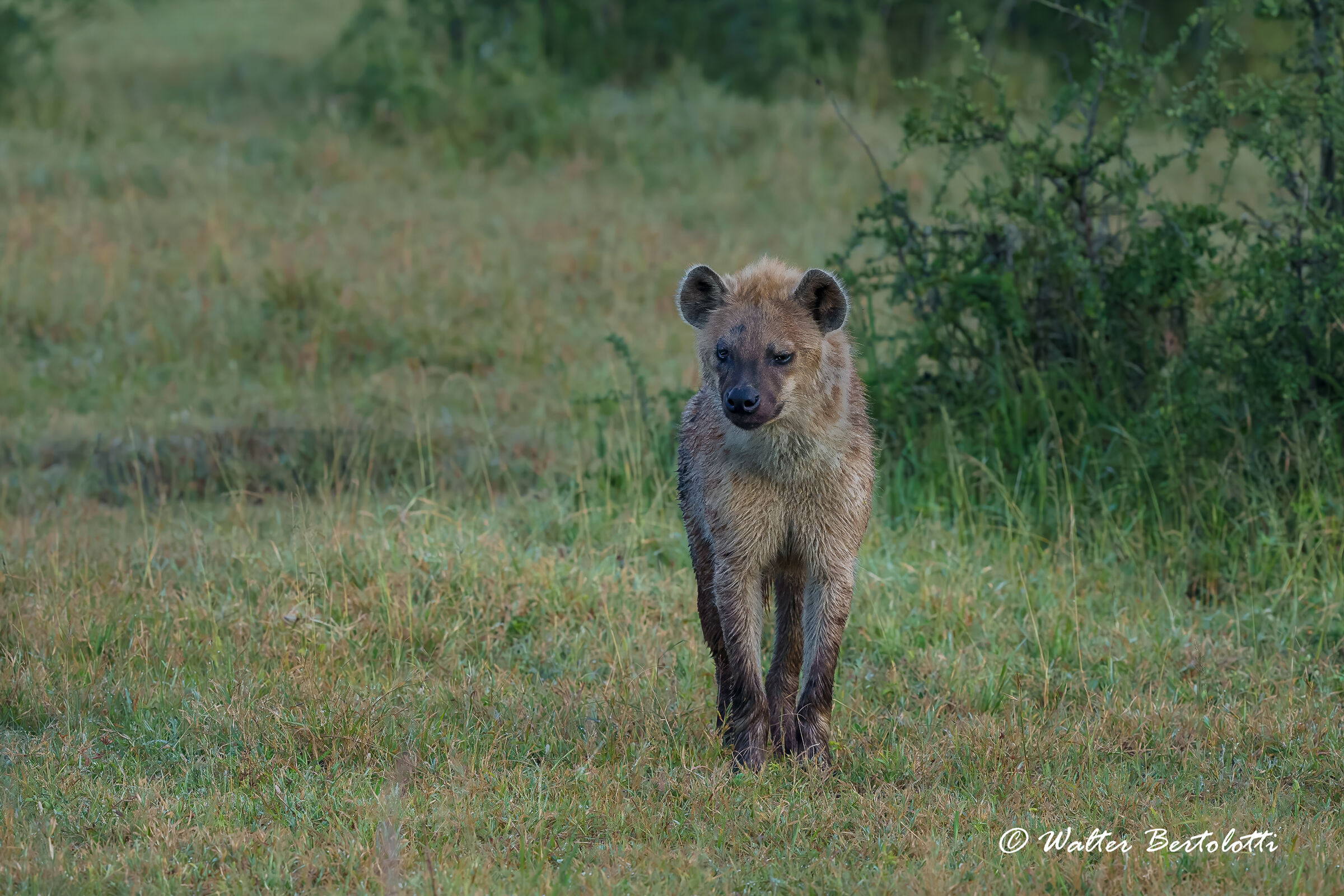 rientro dalla caccia