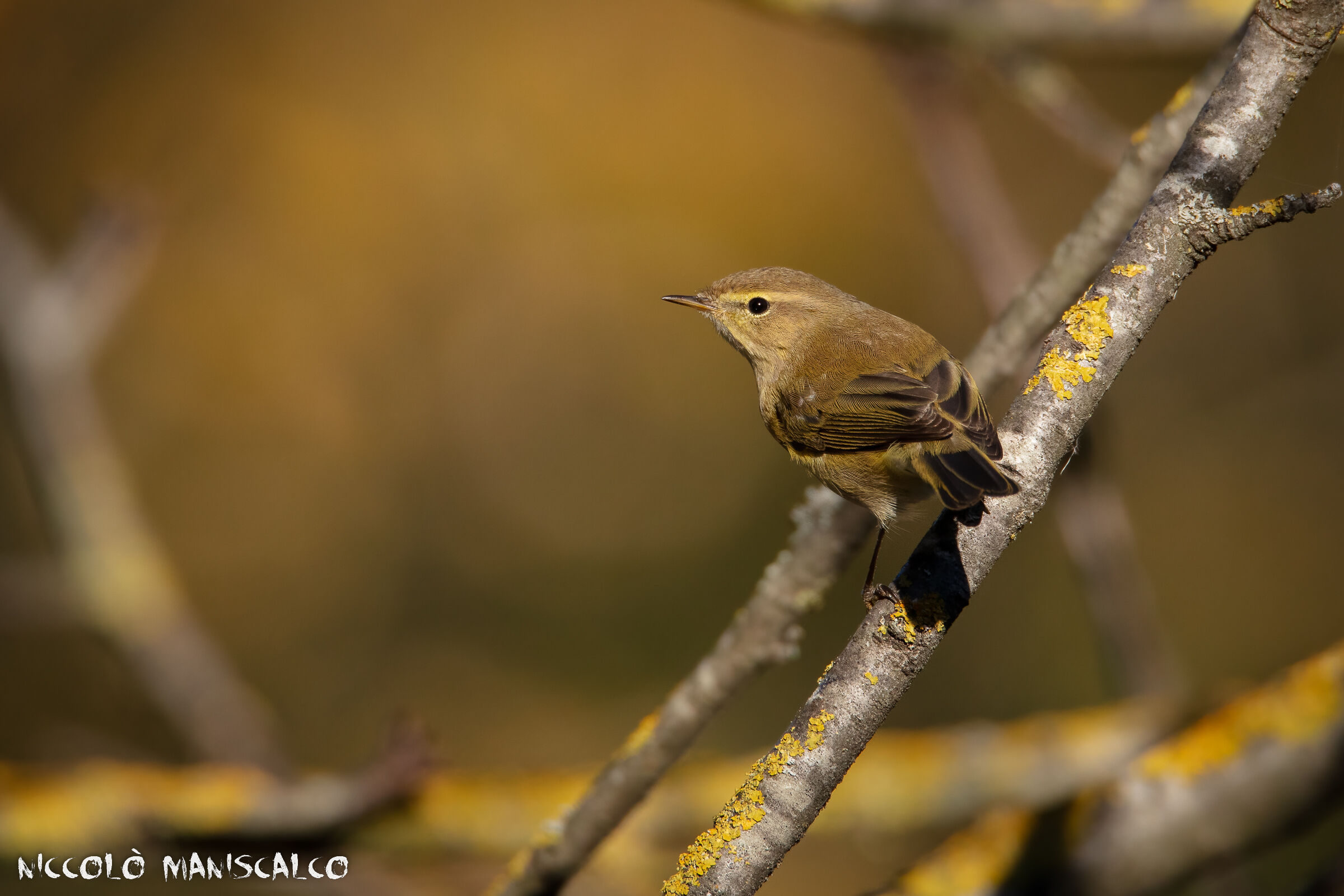 Nel bel mezzo dell'autunno