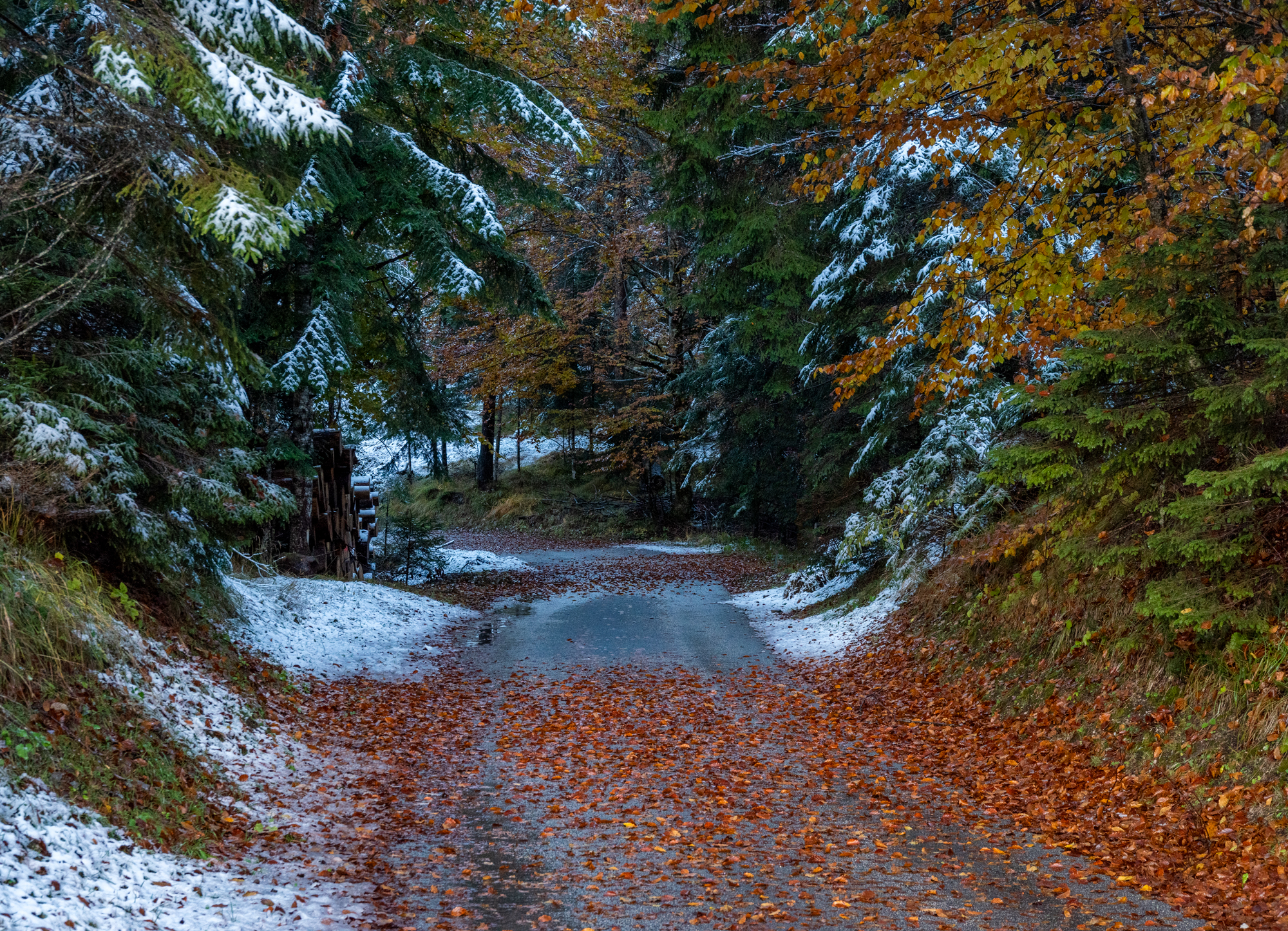 When Autumn Meets Winter