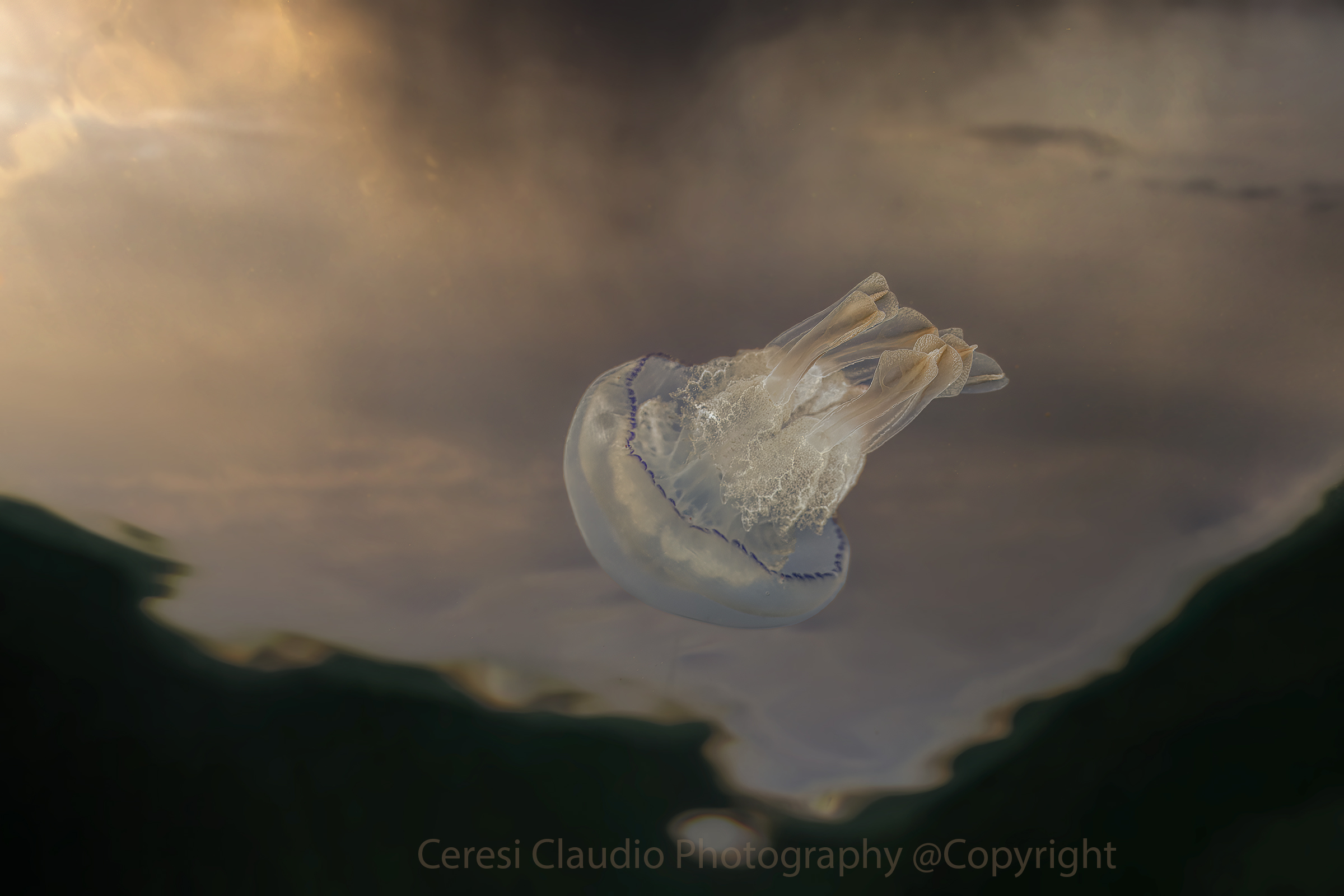 lung of the sea in Cesenatico