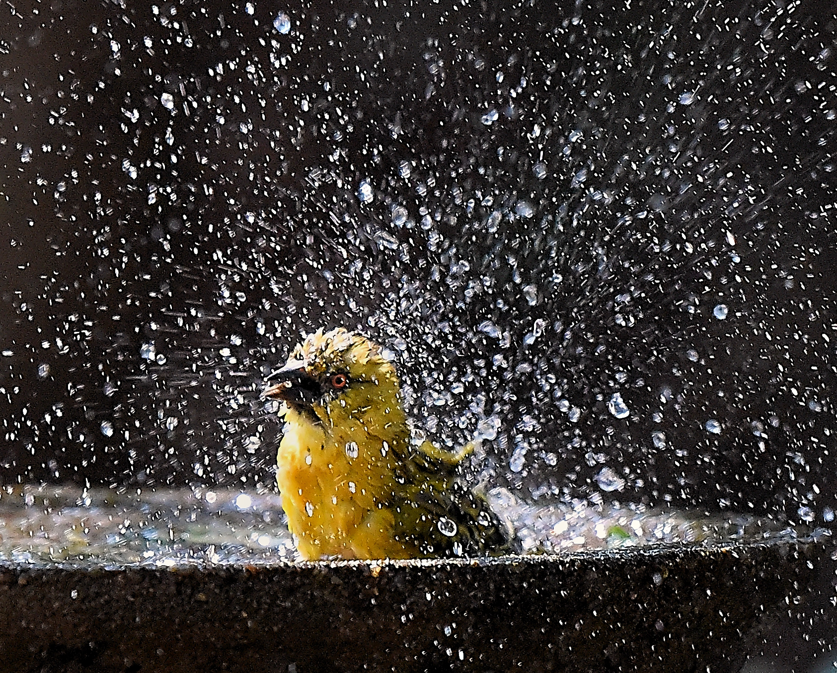 freshen up