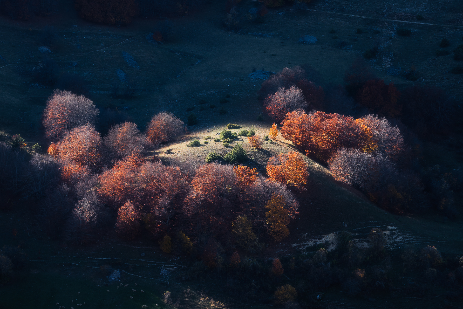 Tra le colline d'Abruzzo