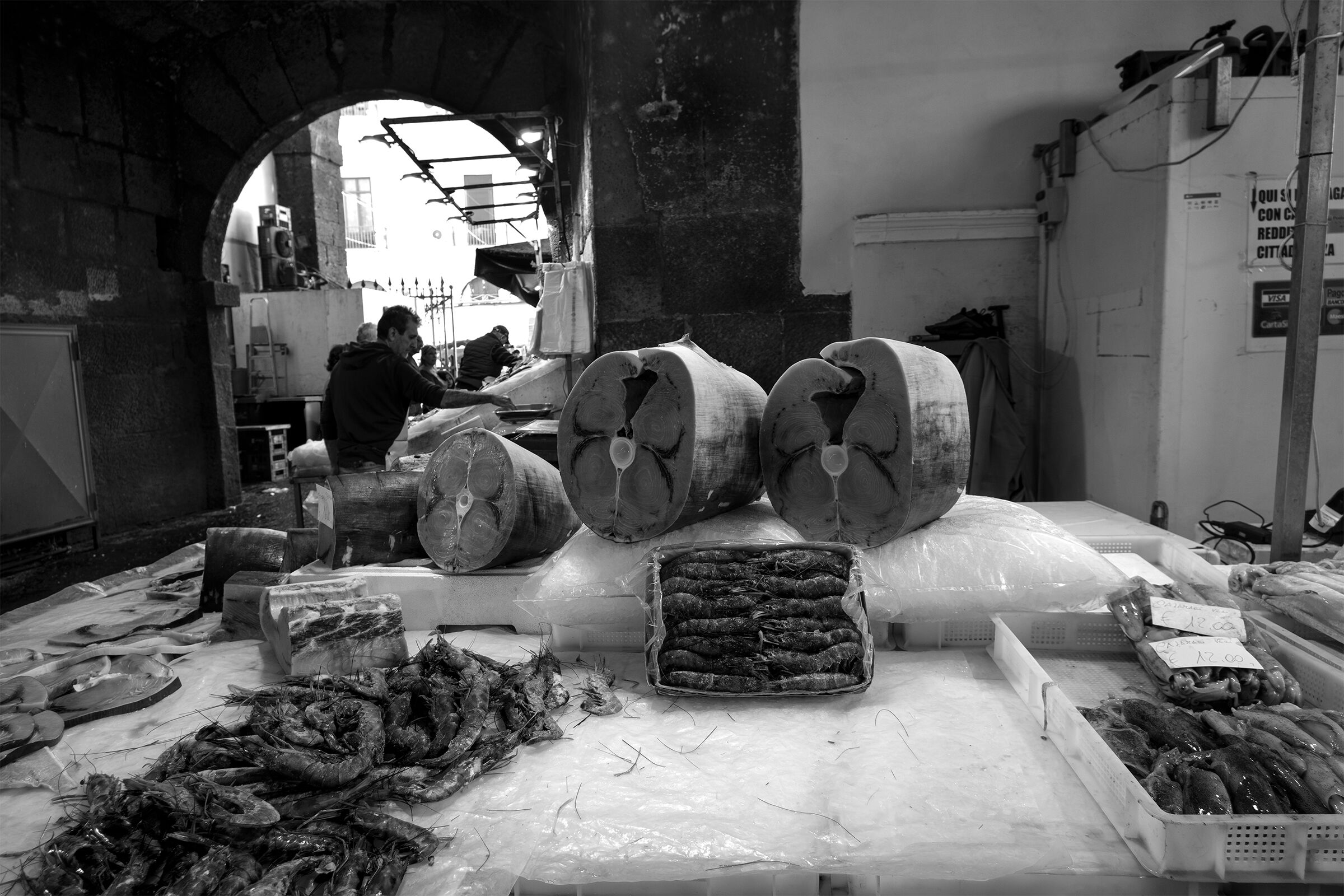 The little shop of horrors.