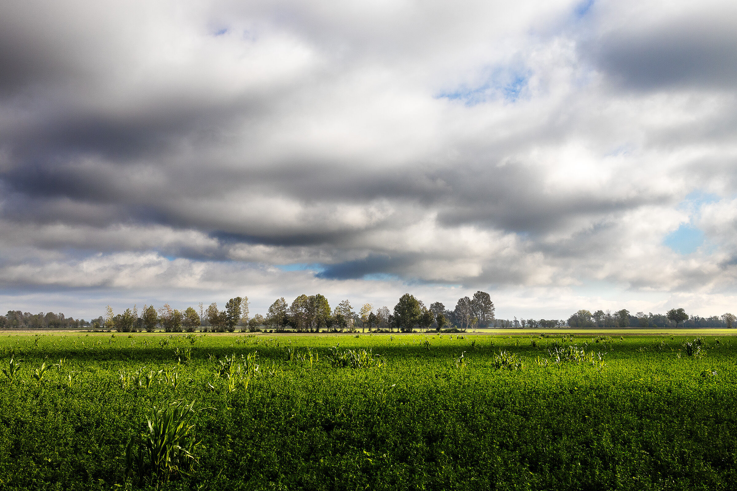 La Campagna nella Bassa Bergamasca