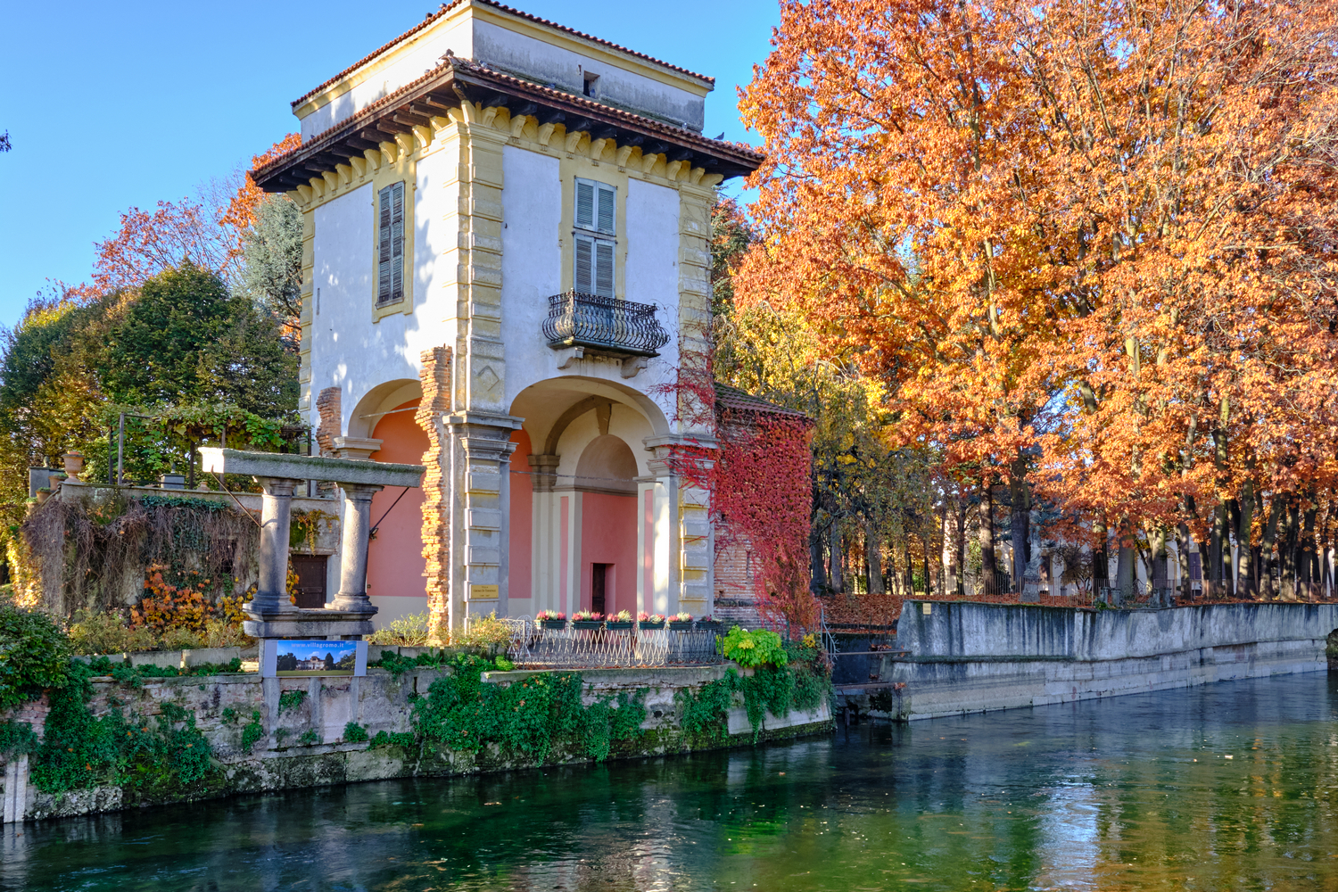 Robecco s.n. foliage 2