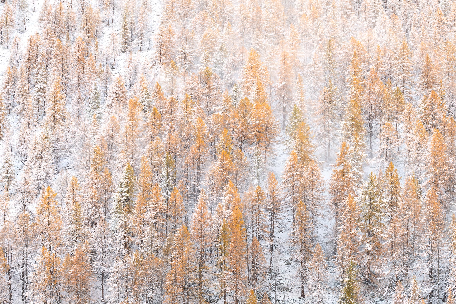 When Autumn Meets Winter