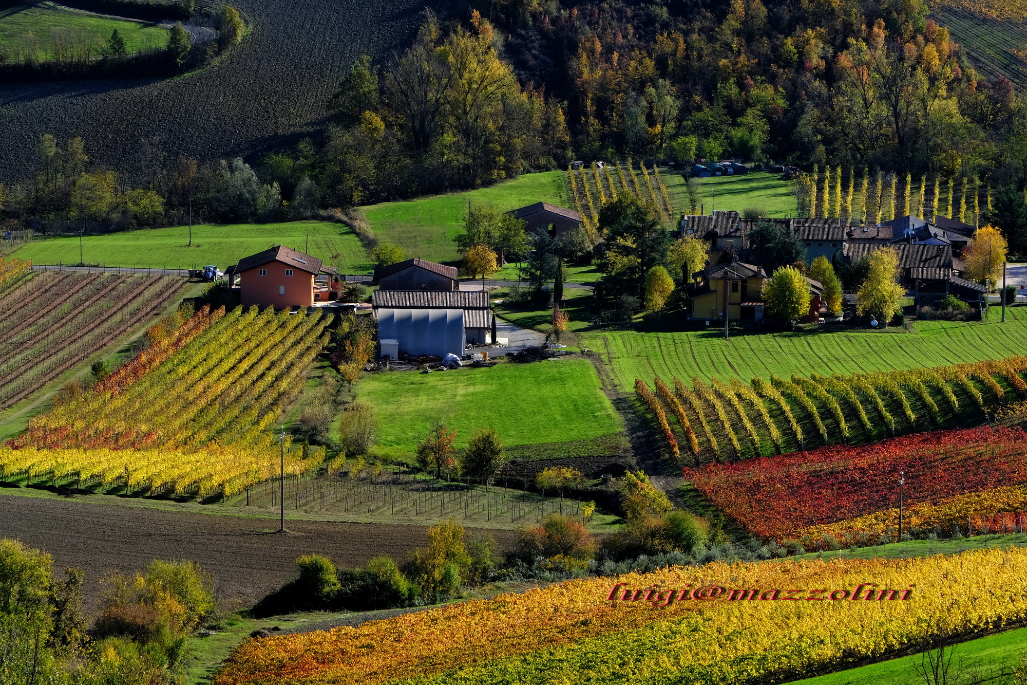 autunno nei colli piacentini