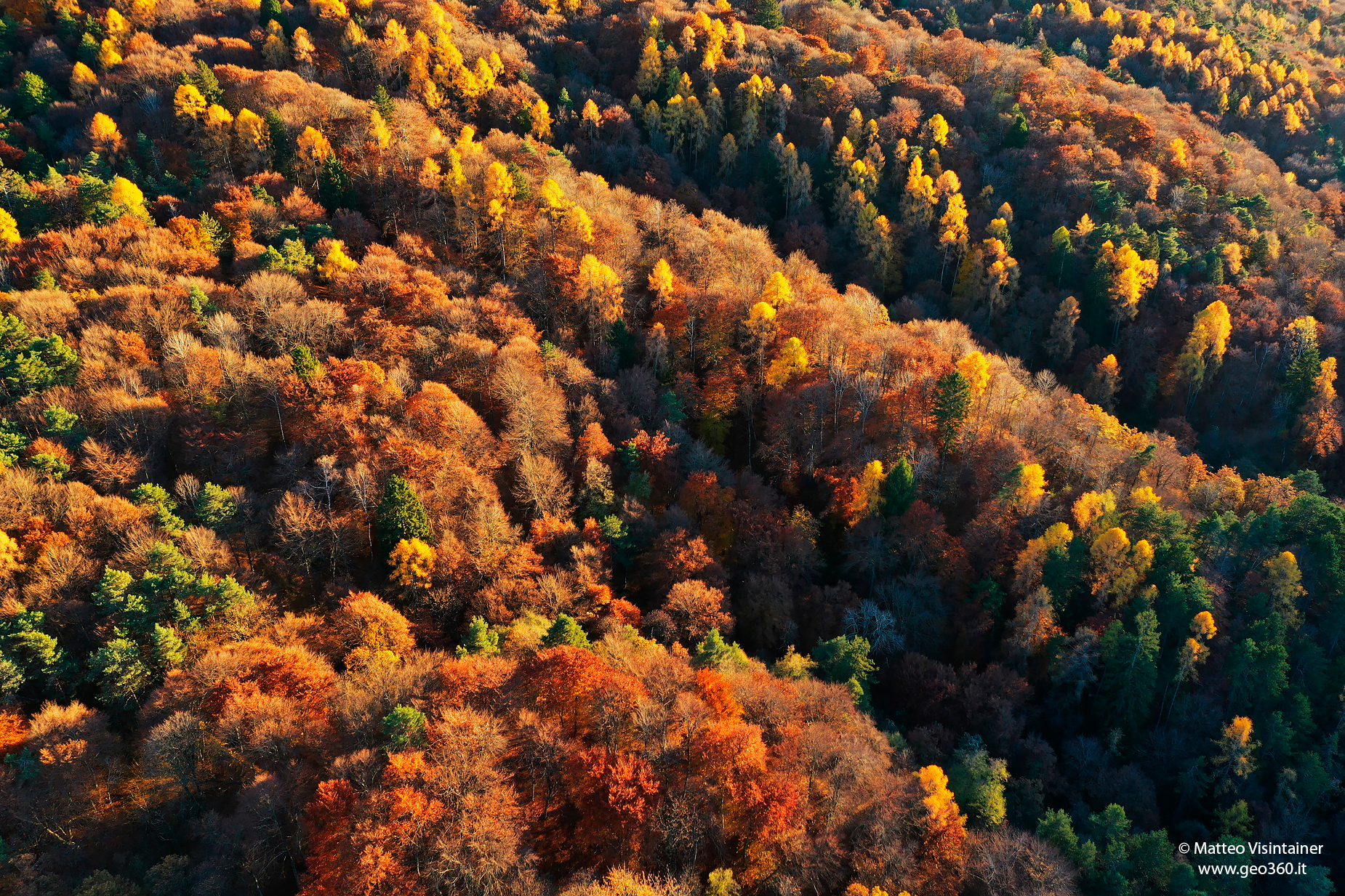 Autunno vicino casa