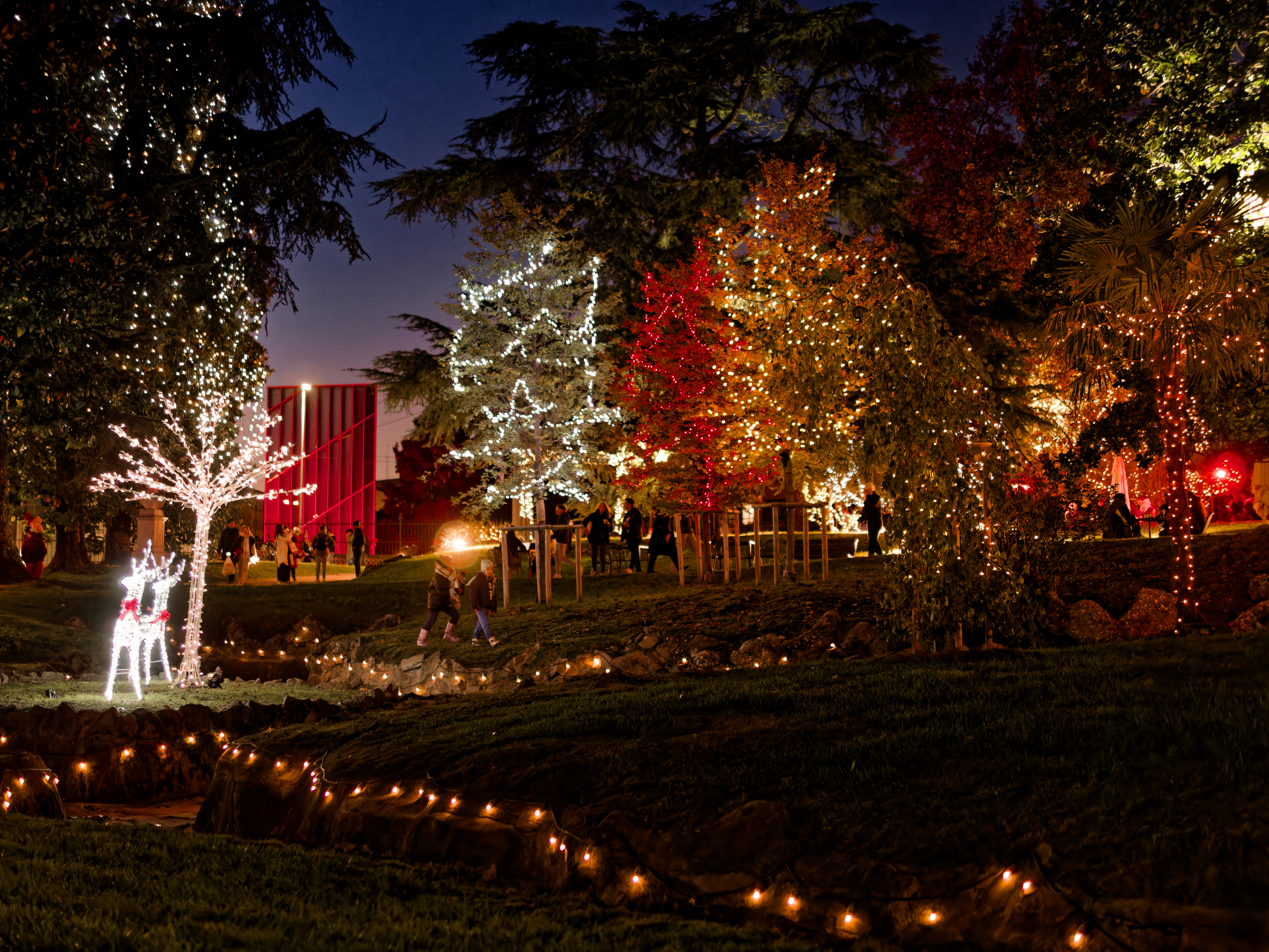 Accensione delle luminarie natalizie 2023
