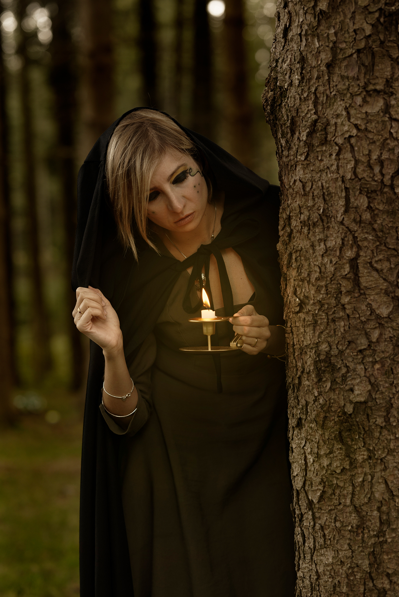 Nel bosco al crepuscolo