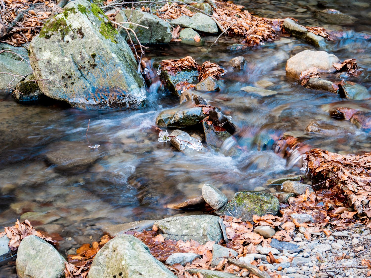 Torrente Cavone