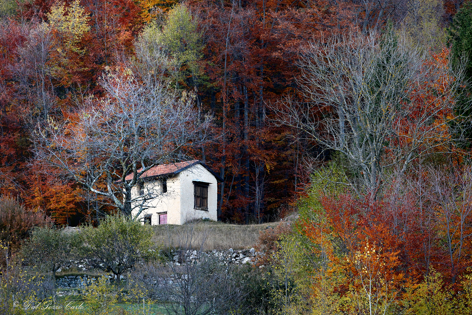 Ancient autumn flavours