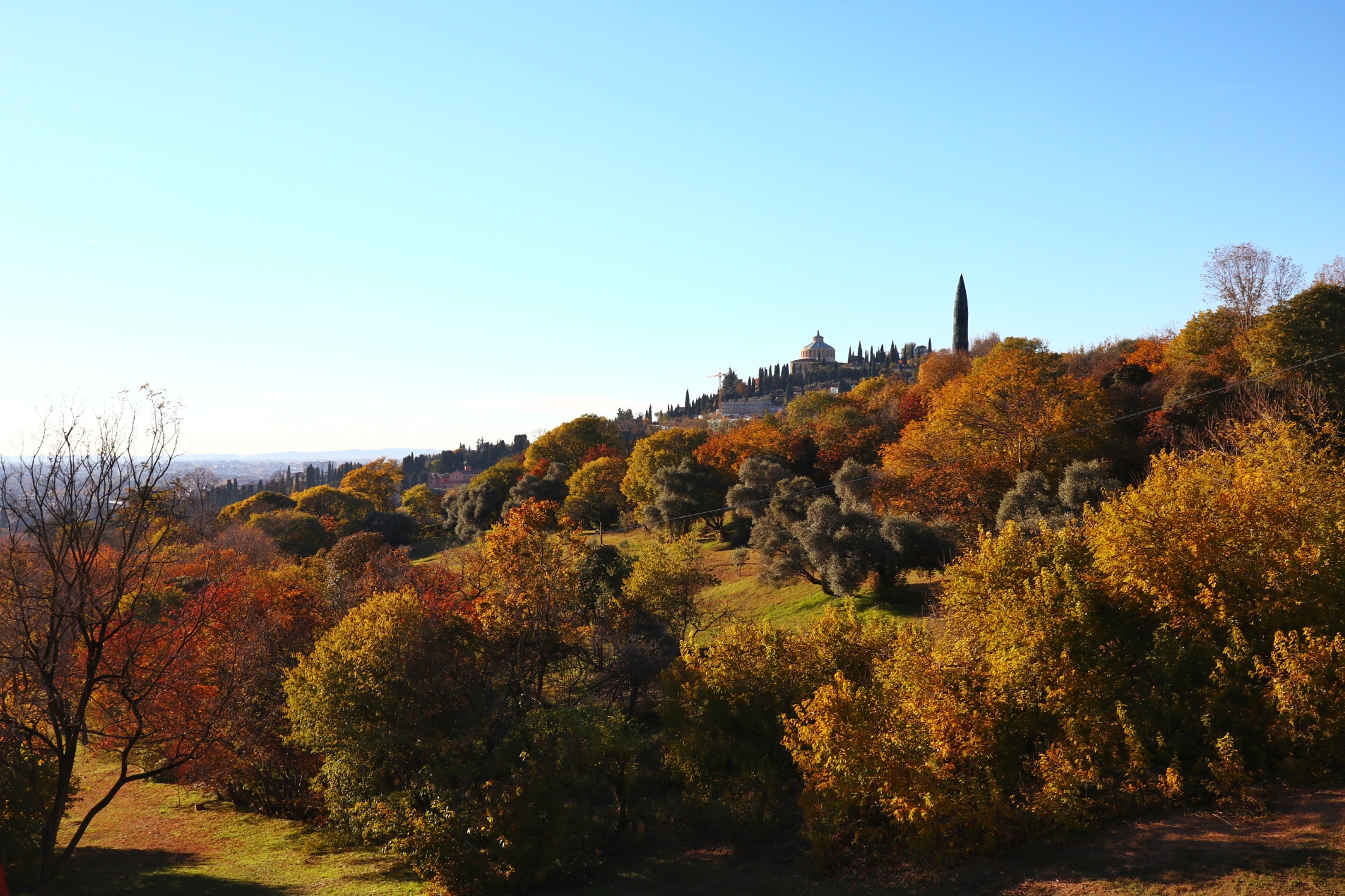 Verona Foliage 2