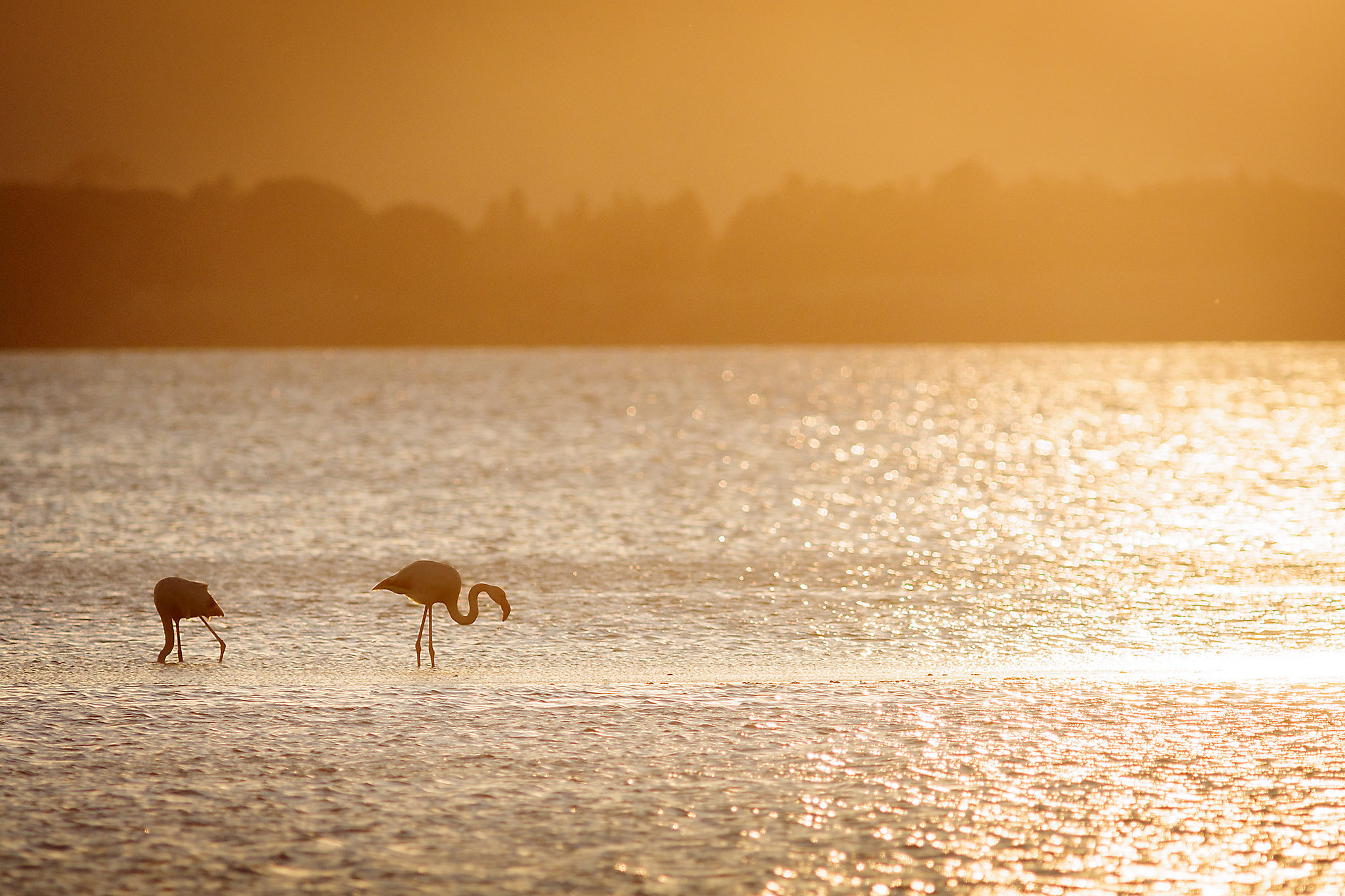 At sunset 2