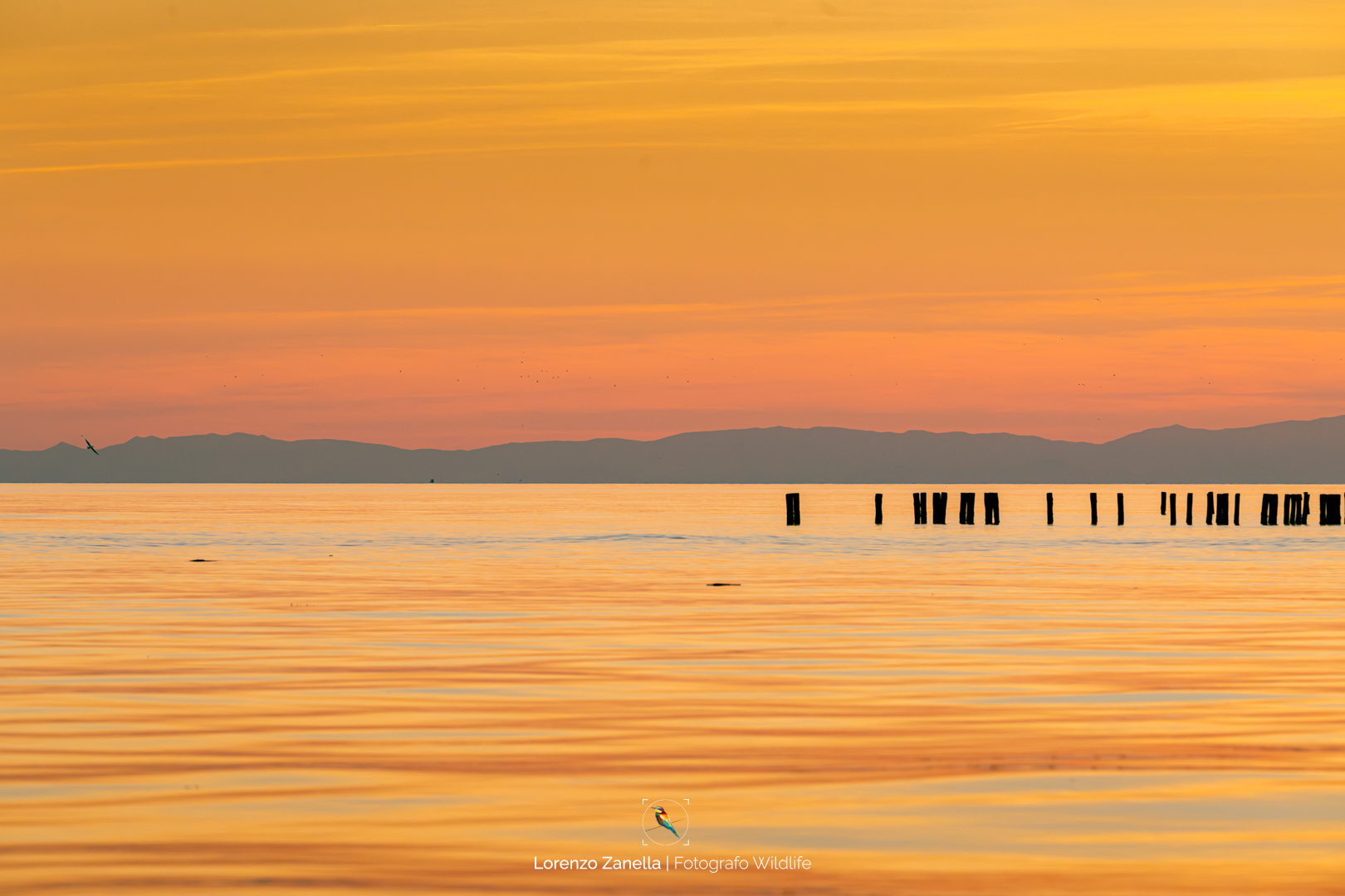 Sunset in Sacca di Scardovari