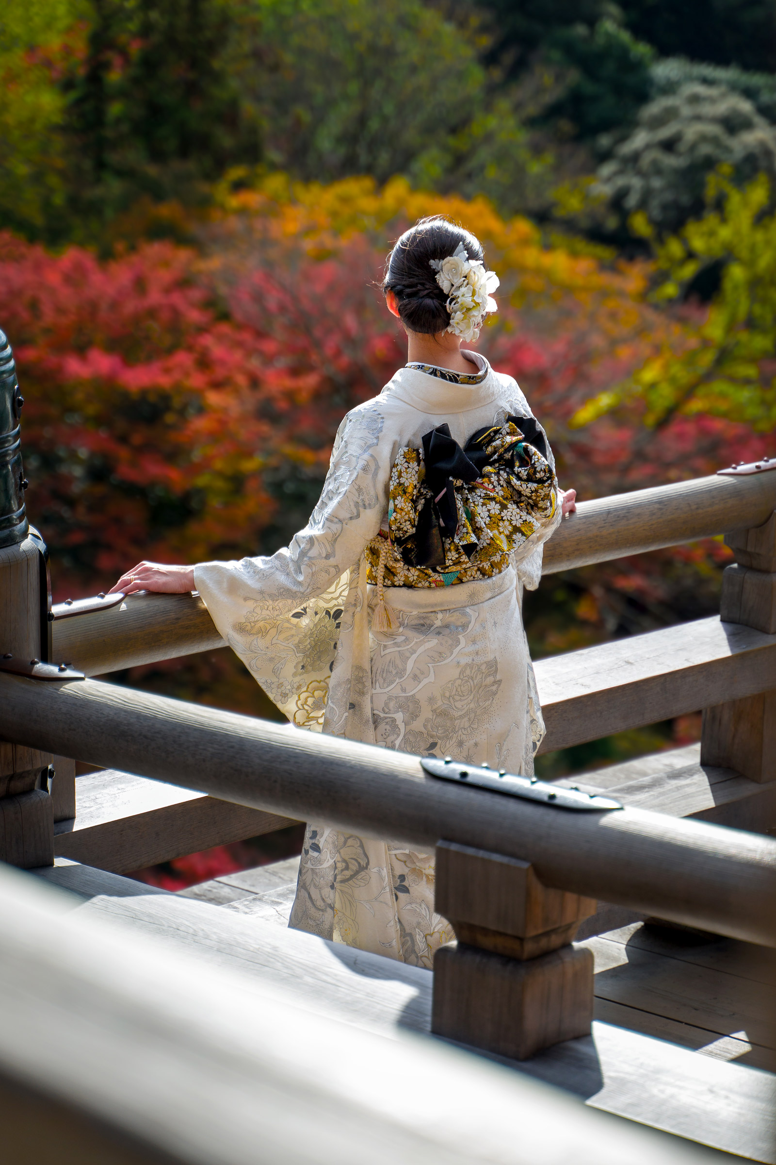 Attimi d'autunno a Kyoto