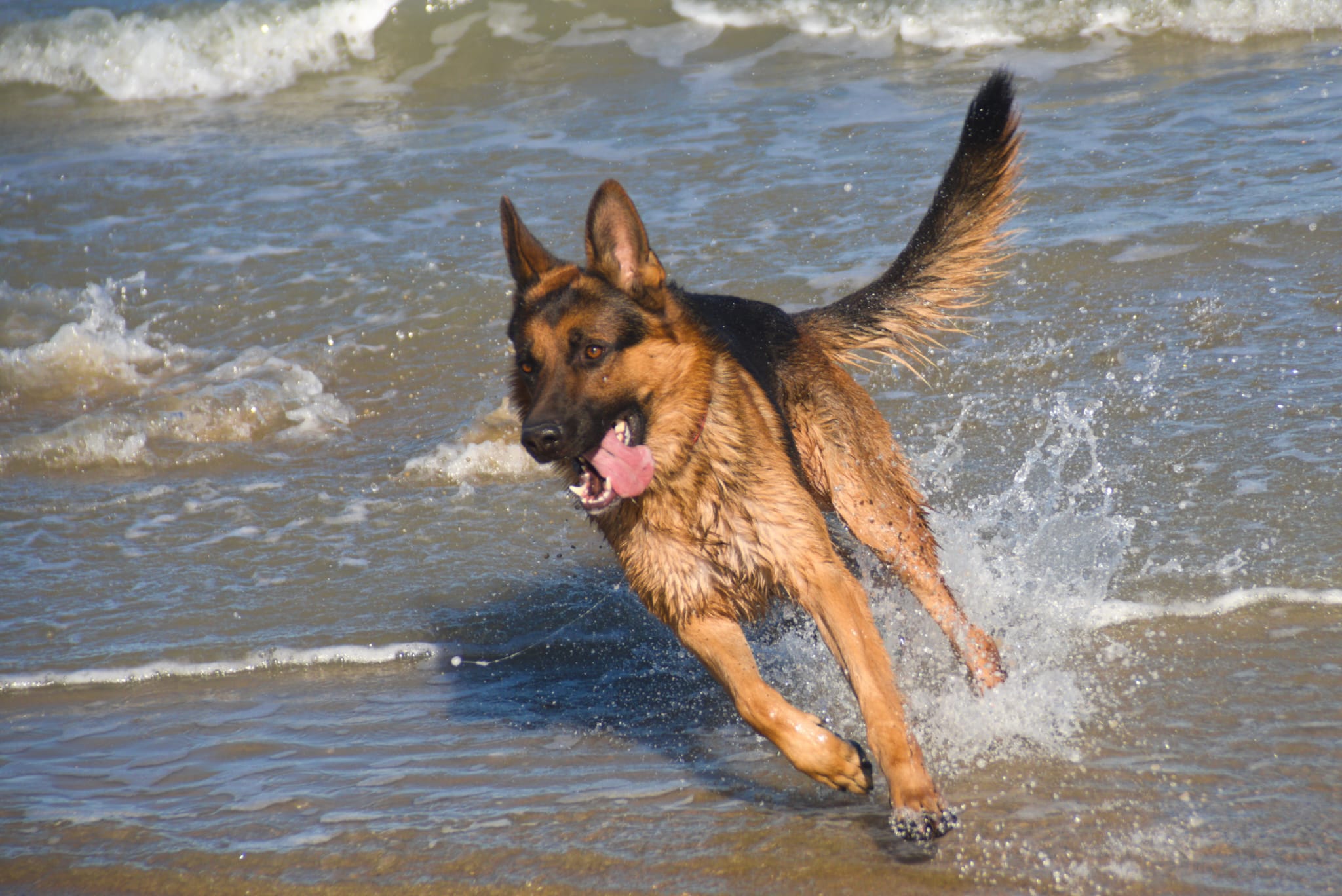 Games on the shore