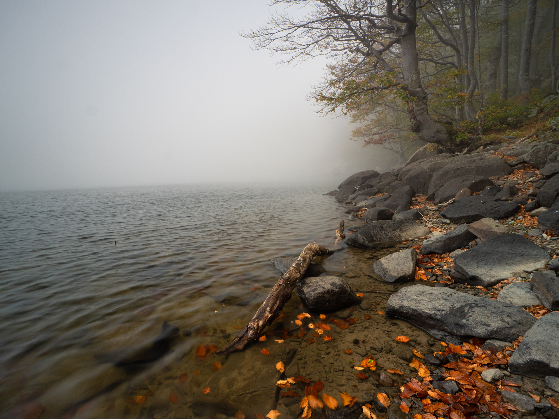 Mistic al lago Scuro