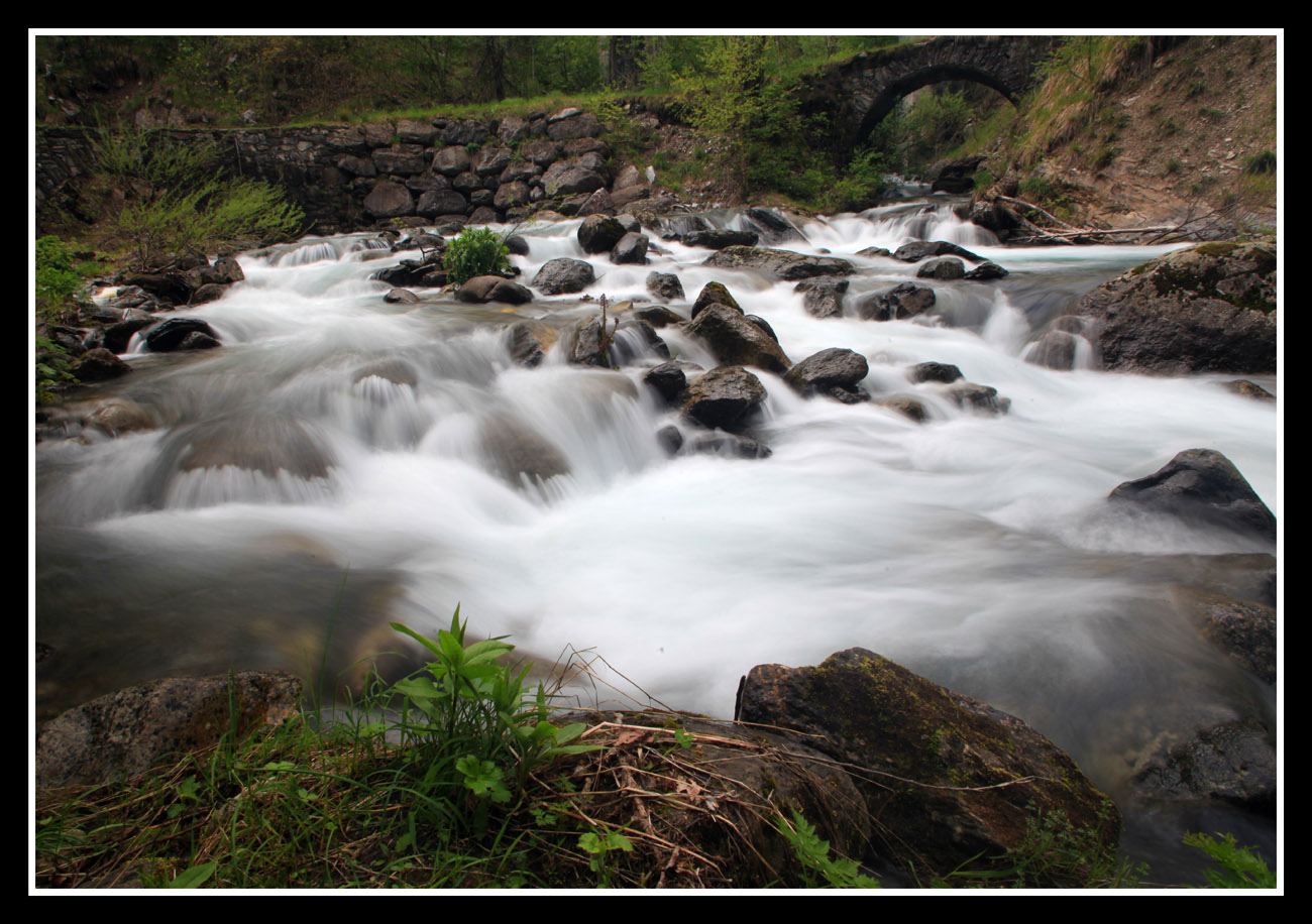 primavera in Valgrande (vernante)