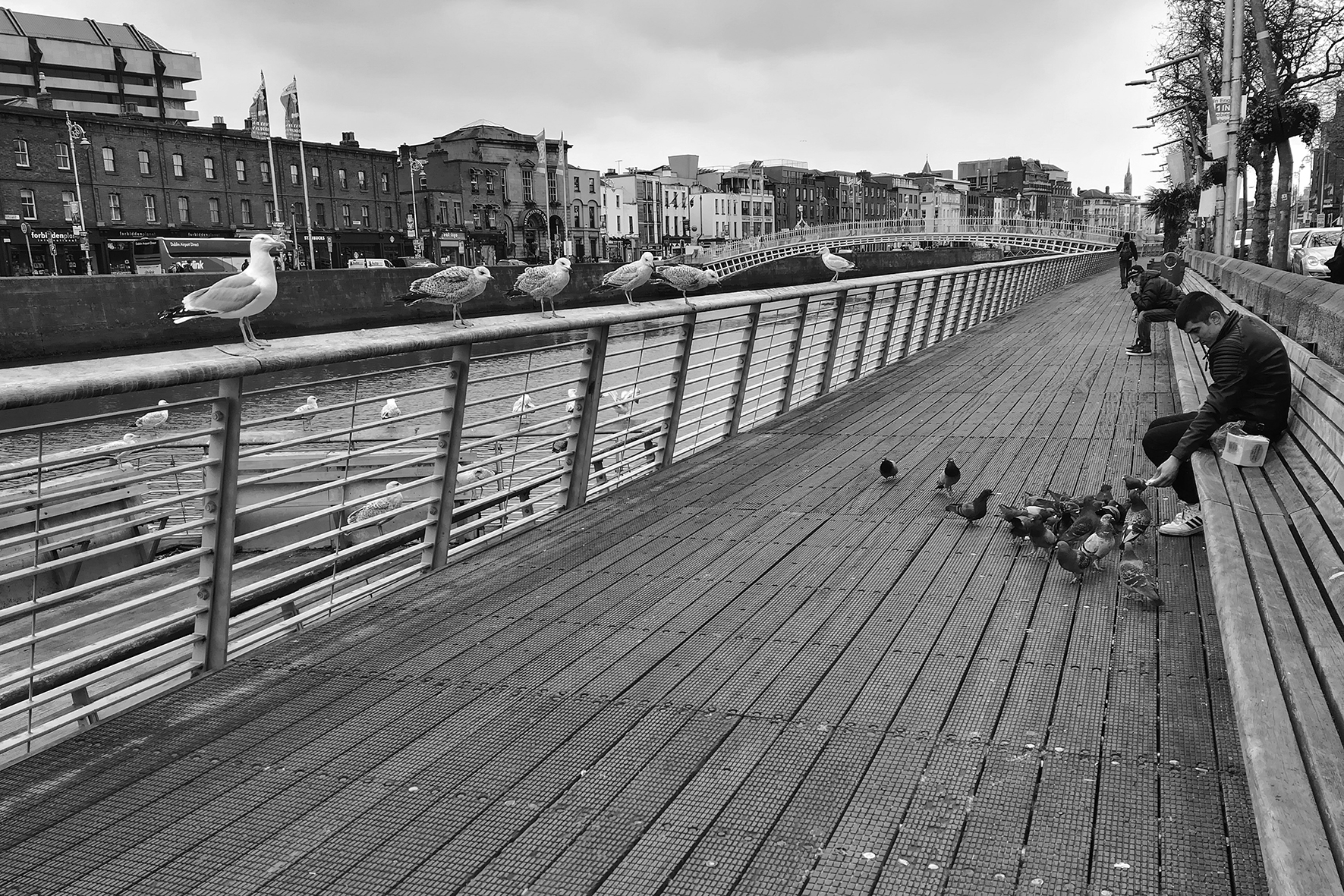 © 125613 Dublin