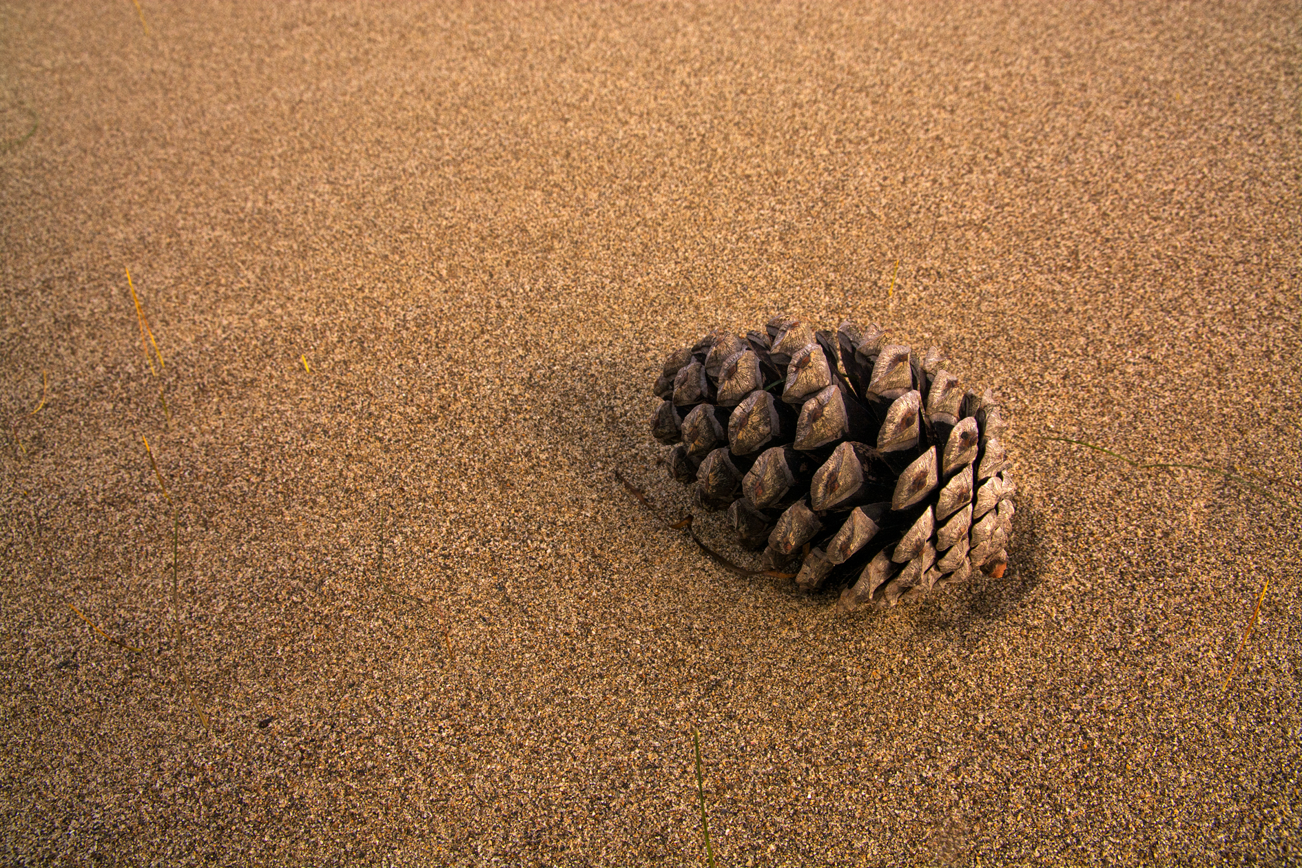 Untitled Photo