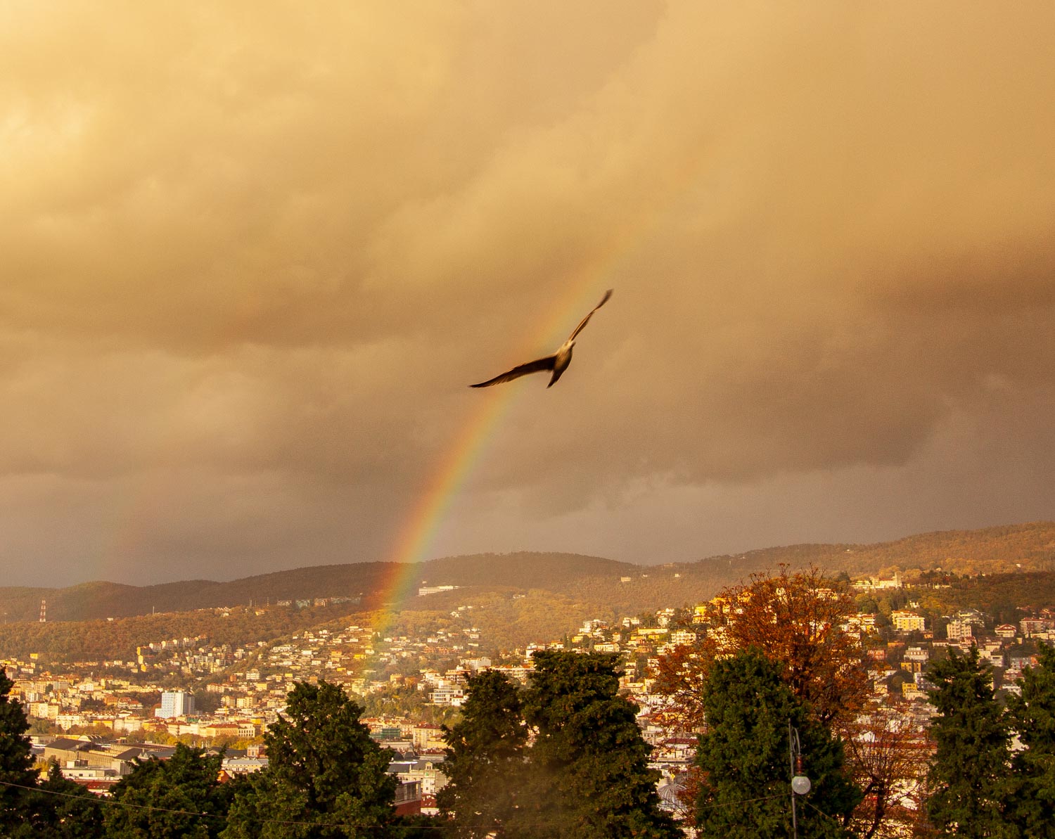 Trieste after a thunderstorm