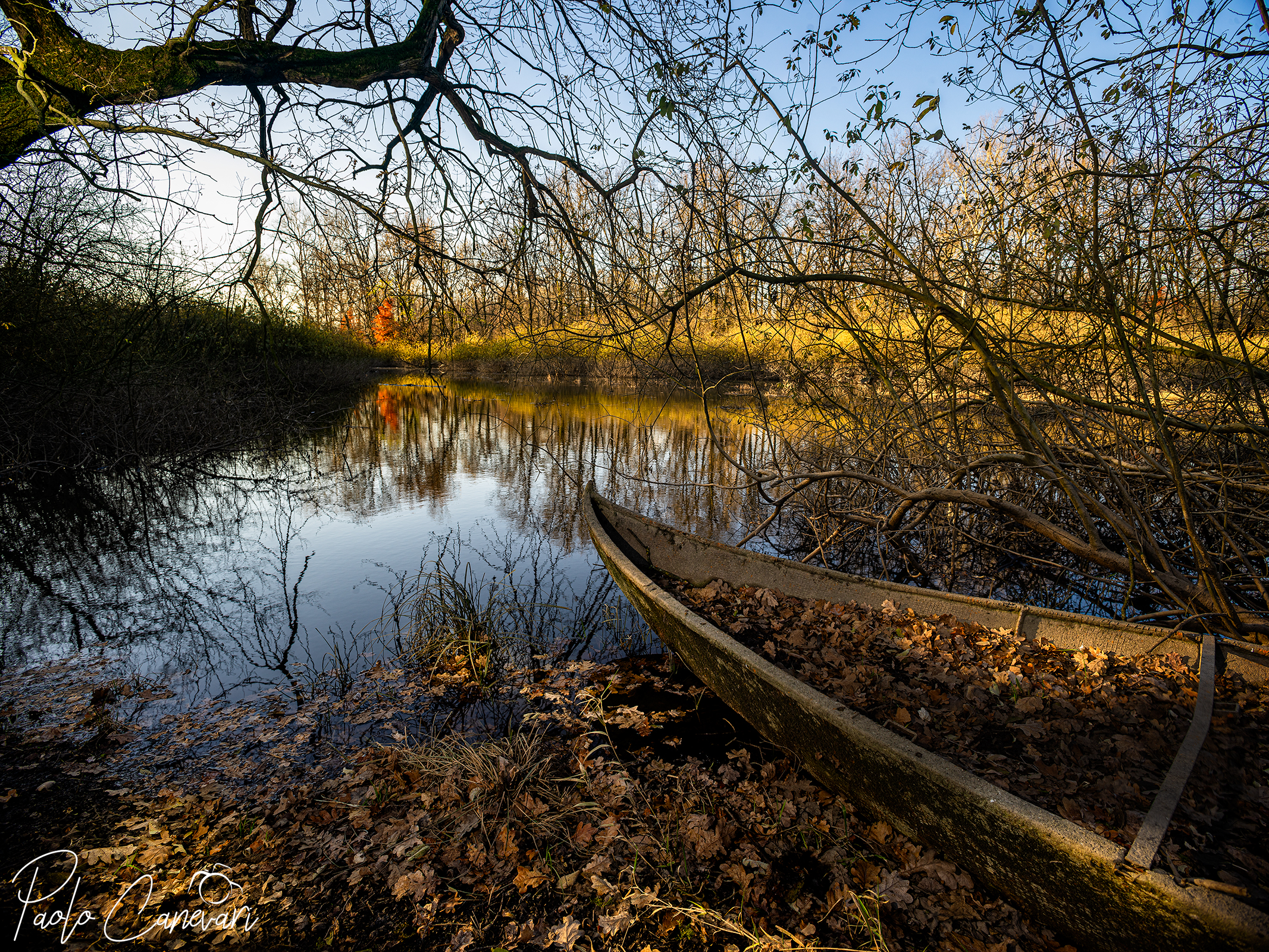 Lanca in Parco del Ticino