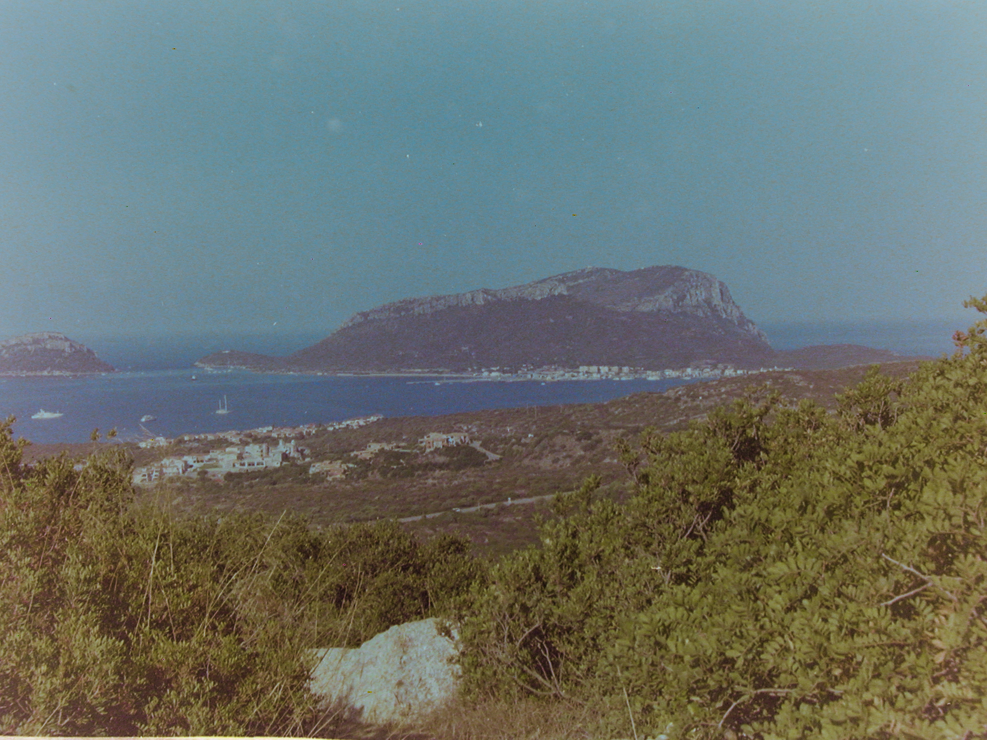 Untitled Photo