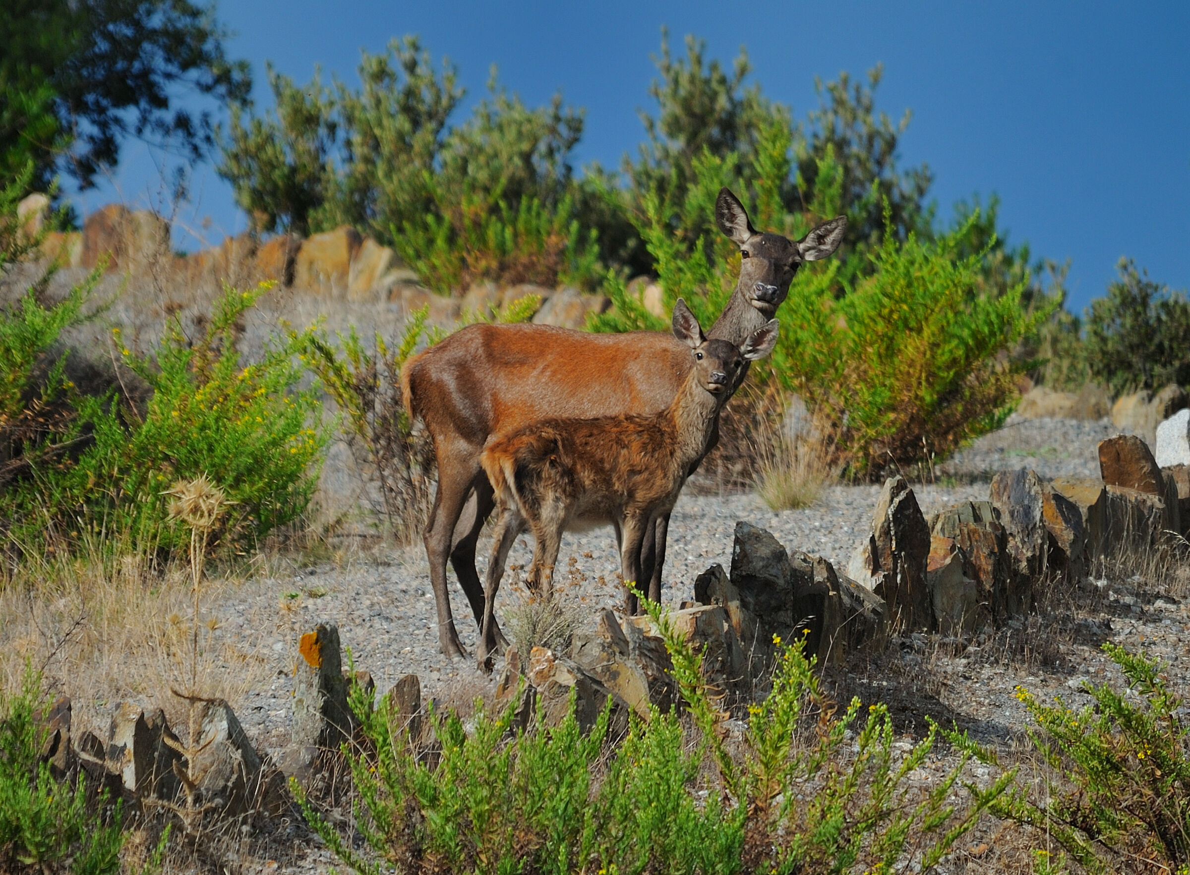 In posa per la "foto ricordo" ...