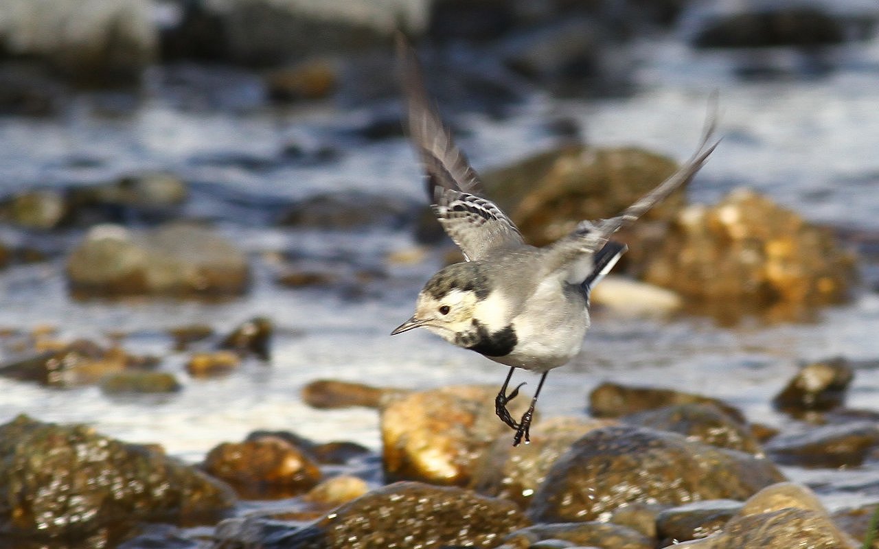 I'm going to find a photographer