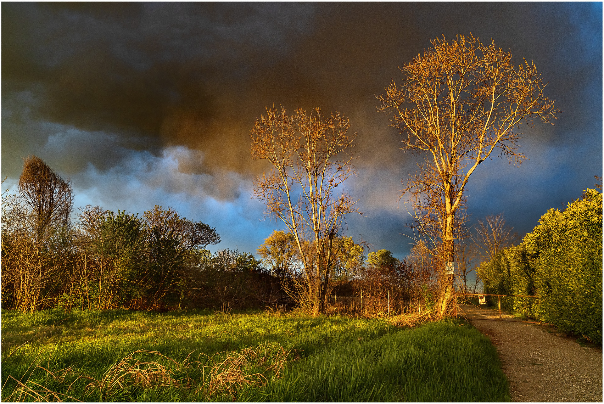 An extraordinary light