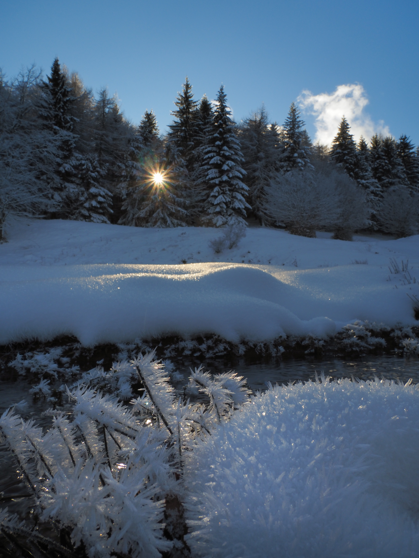 The beauty of winter