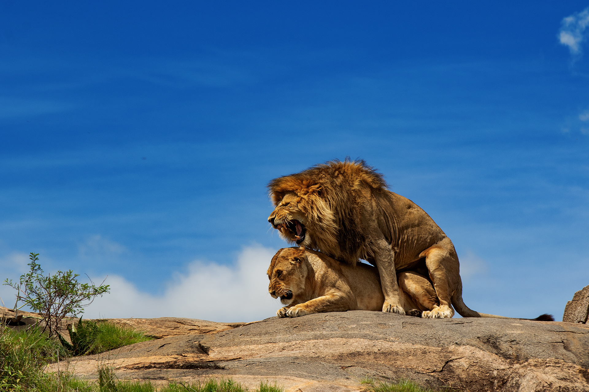 Hard work on the rocks