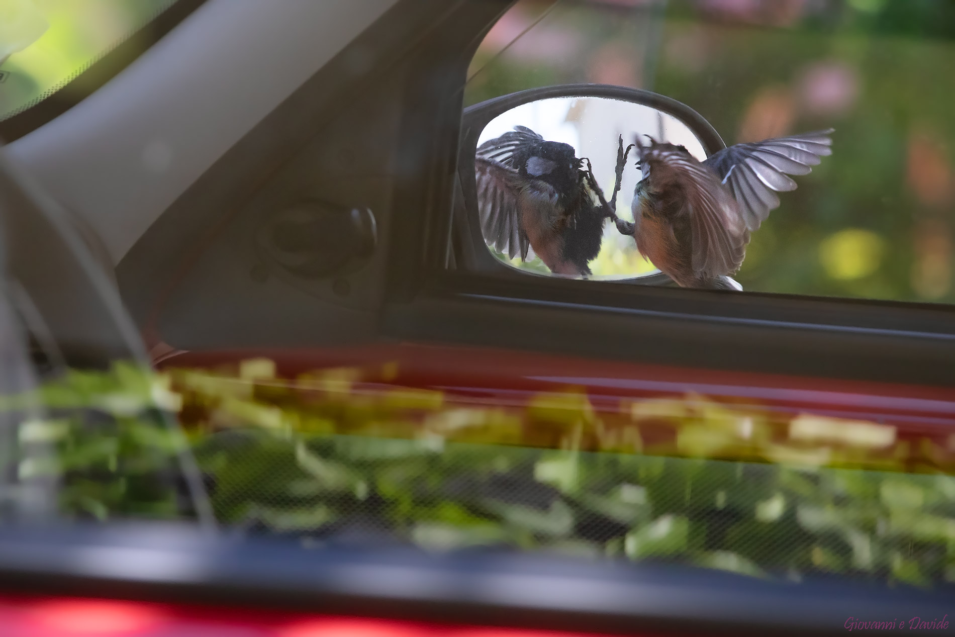 ... Now you're going to take them...