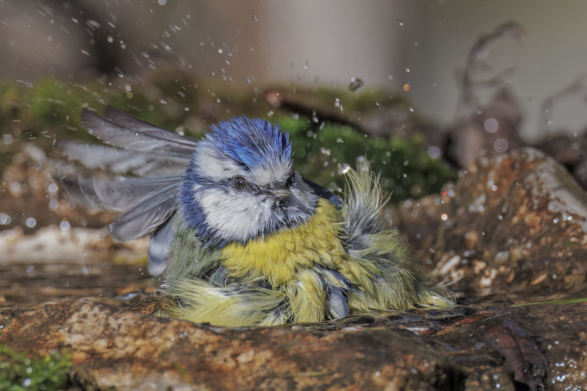 Beauty in the bathroom 2