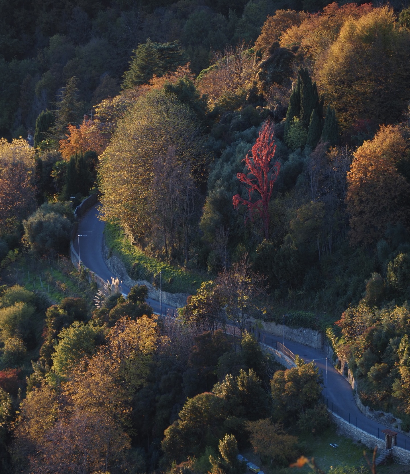 Strade d'autunno