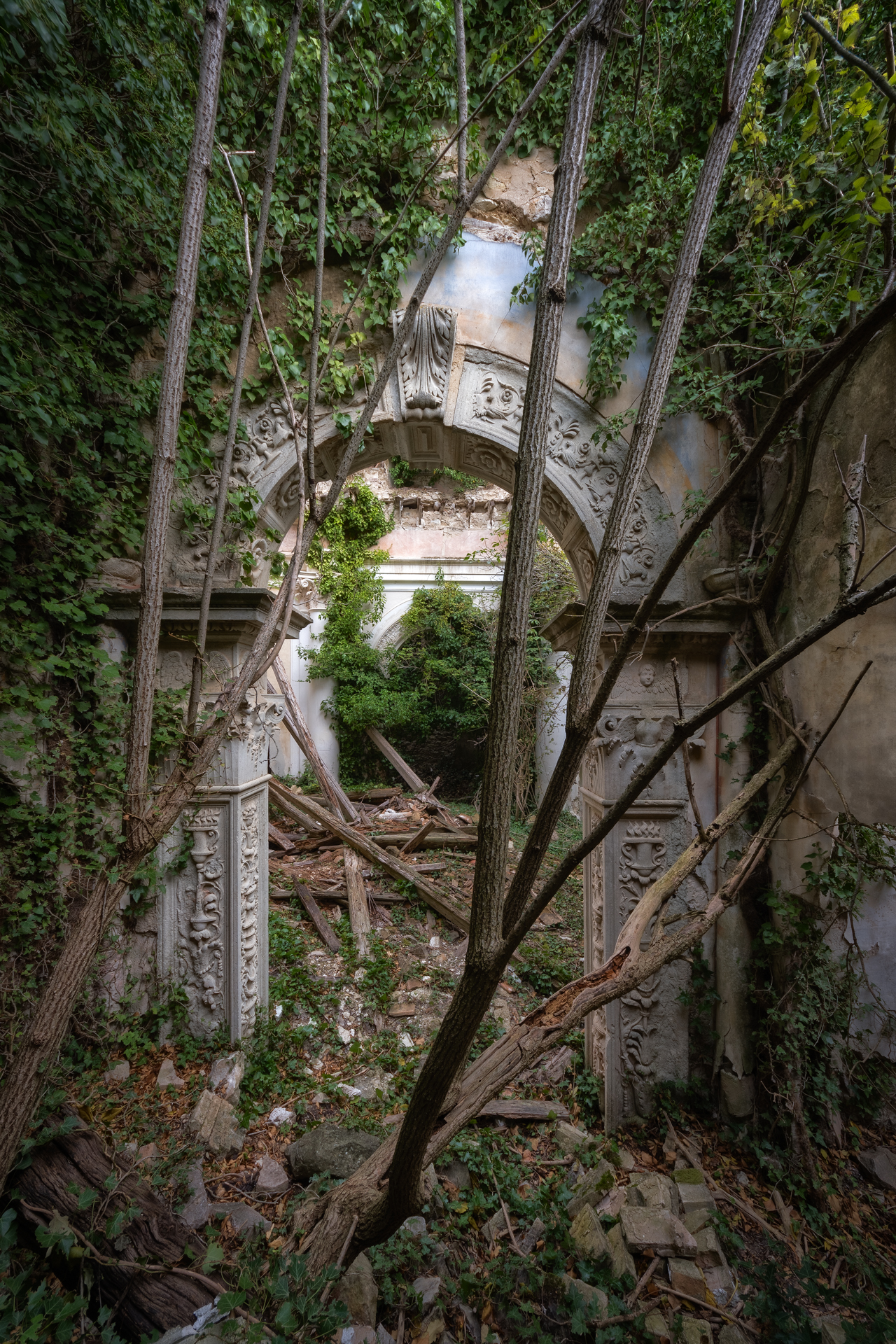 Walk through the door of magic....