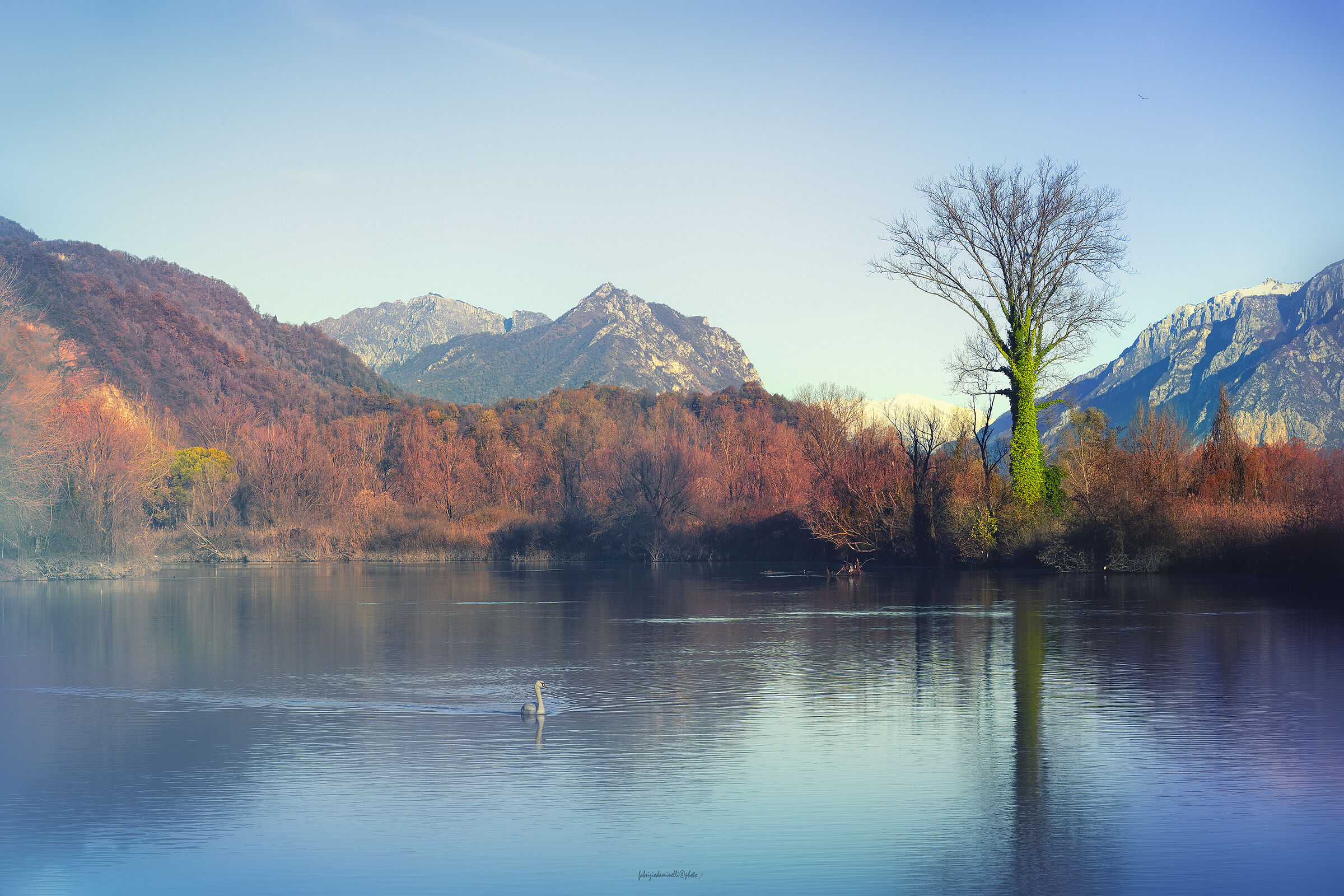 The intent is to convey my emotions ? to you